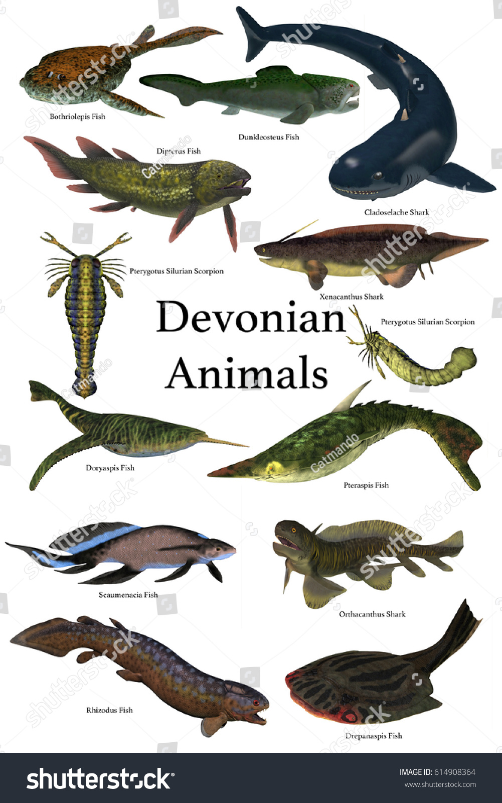 Devonian Animals 3d Illustration Collection Various Stock Illustration ...