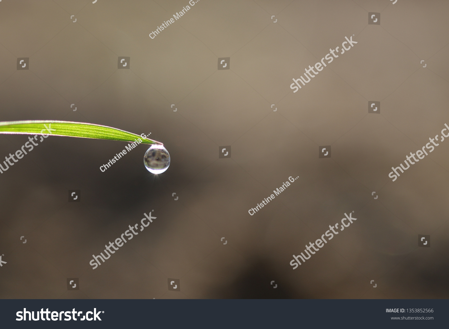 Dew Drop Elf Elves Gnome Goblin Stock Photo 1353852566 | Shutterstock