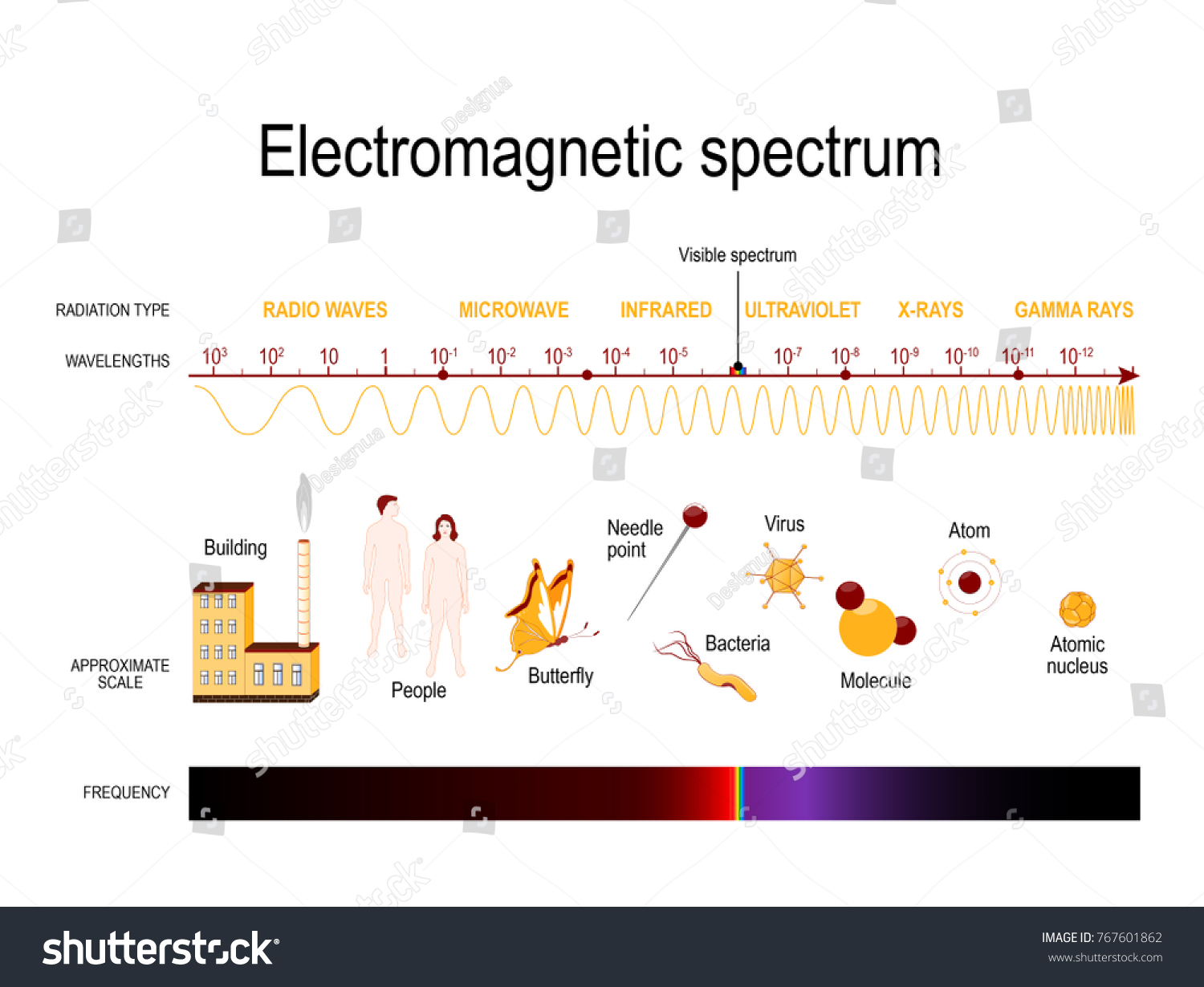 Diagram Electromagnetic Spectrum Illustration Showing Various Stock ...