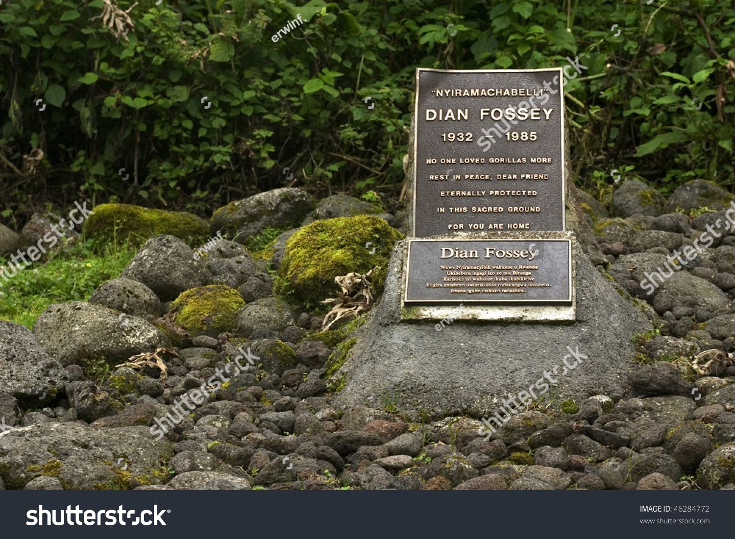 Dian Fossey'S Grave Stock Photo 46284772 : Shutterstock