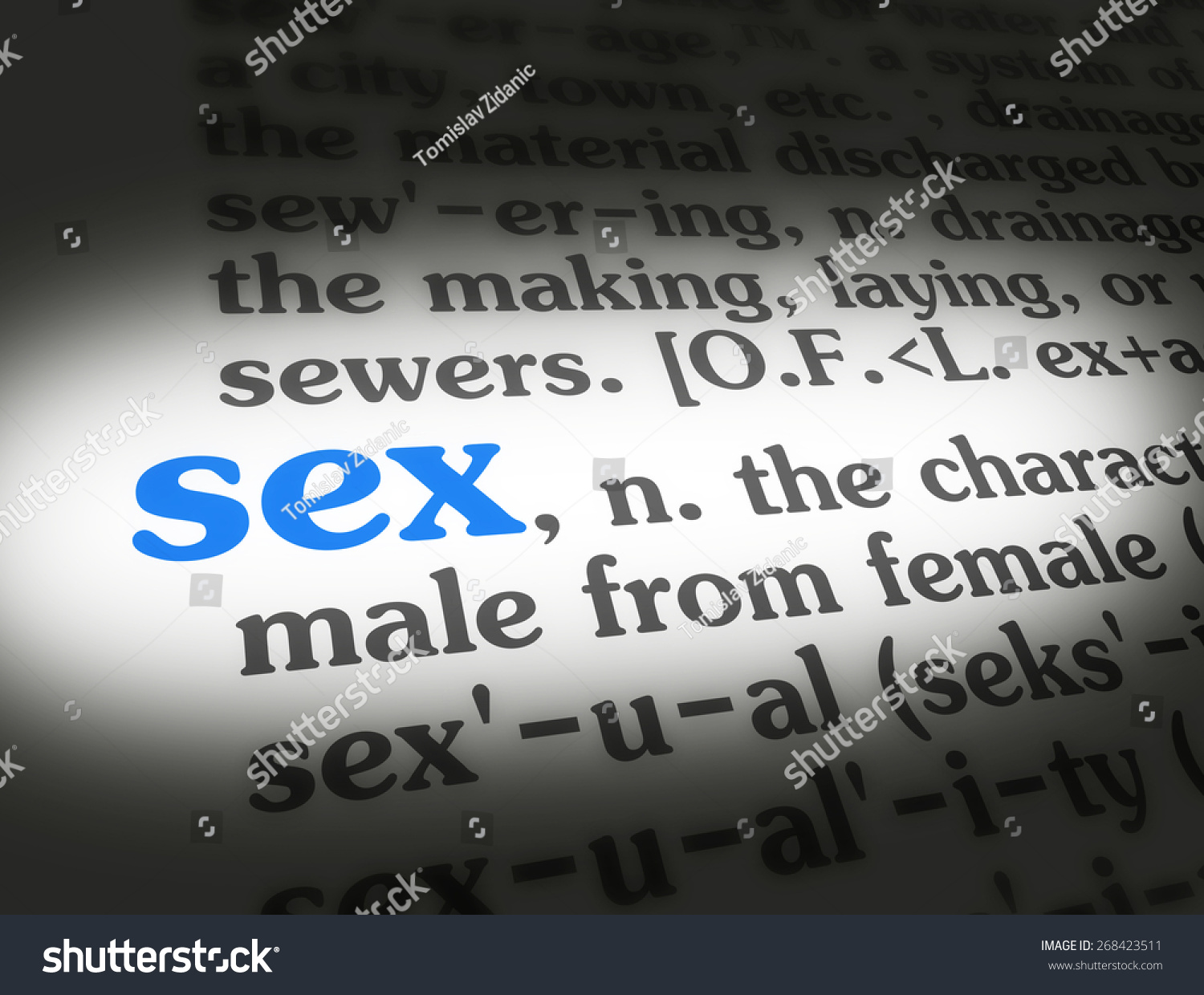 Dictionary Definition Word Sex Stock Illustration 268423511