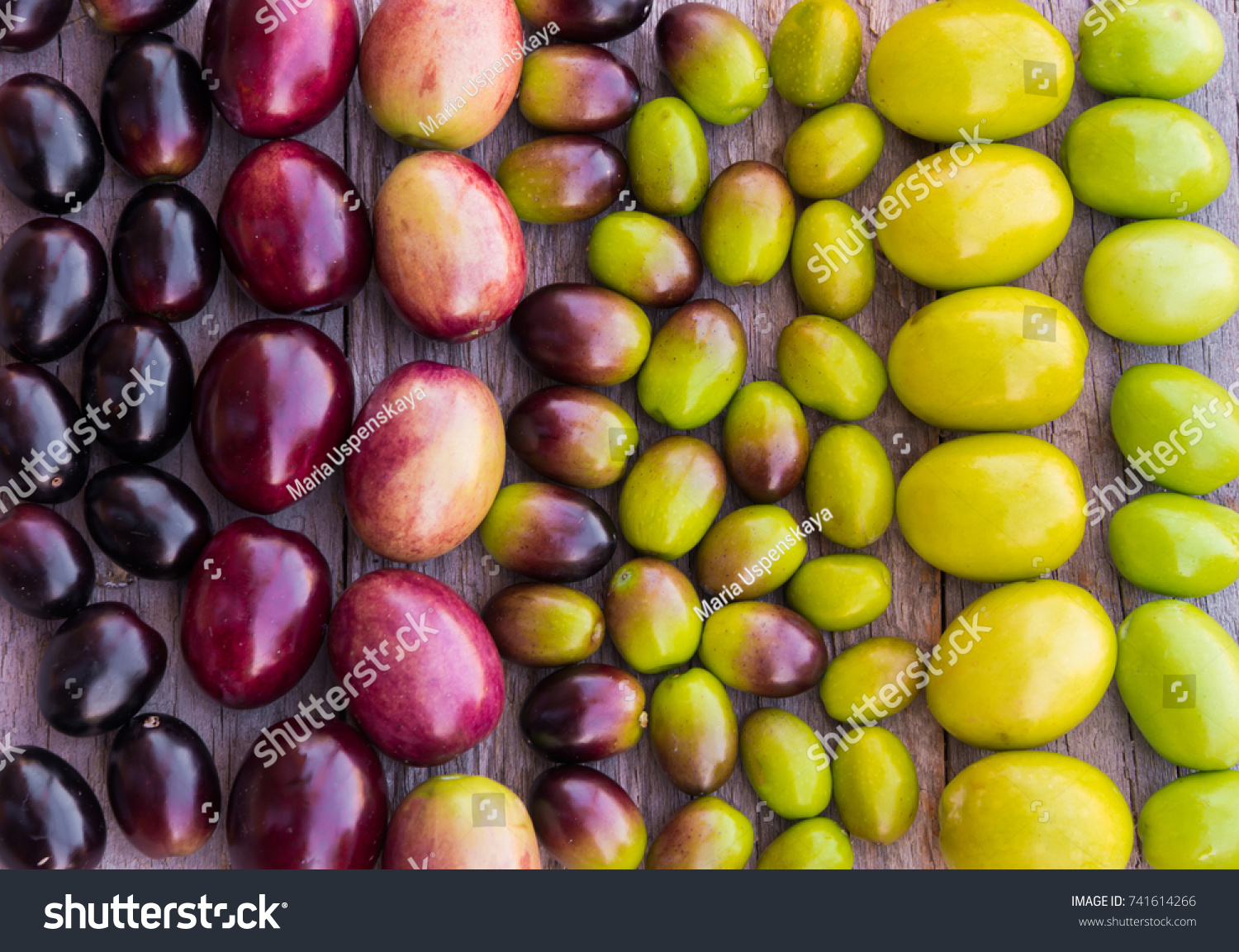 11,729 Olive types Images, Stock Photos & Vectors | Shutterstock