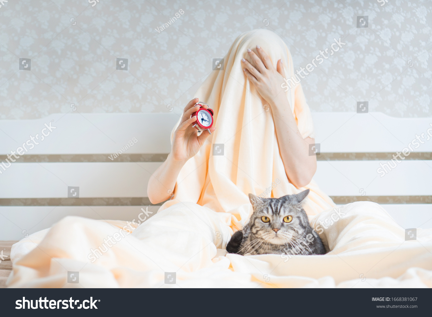 3,859 Wake up cat Images, Stock Photos & Vectors | Shutterstock
