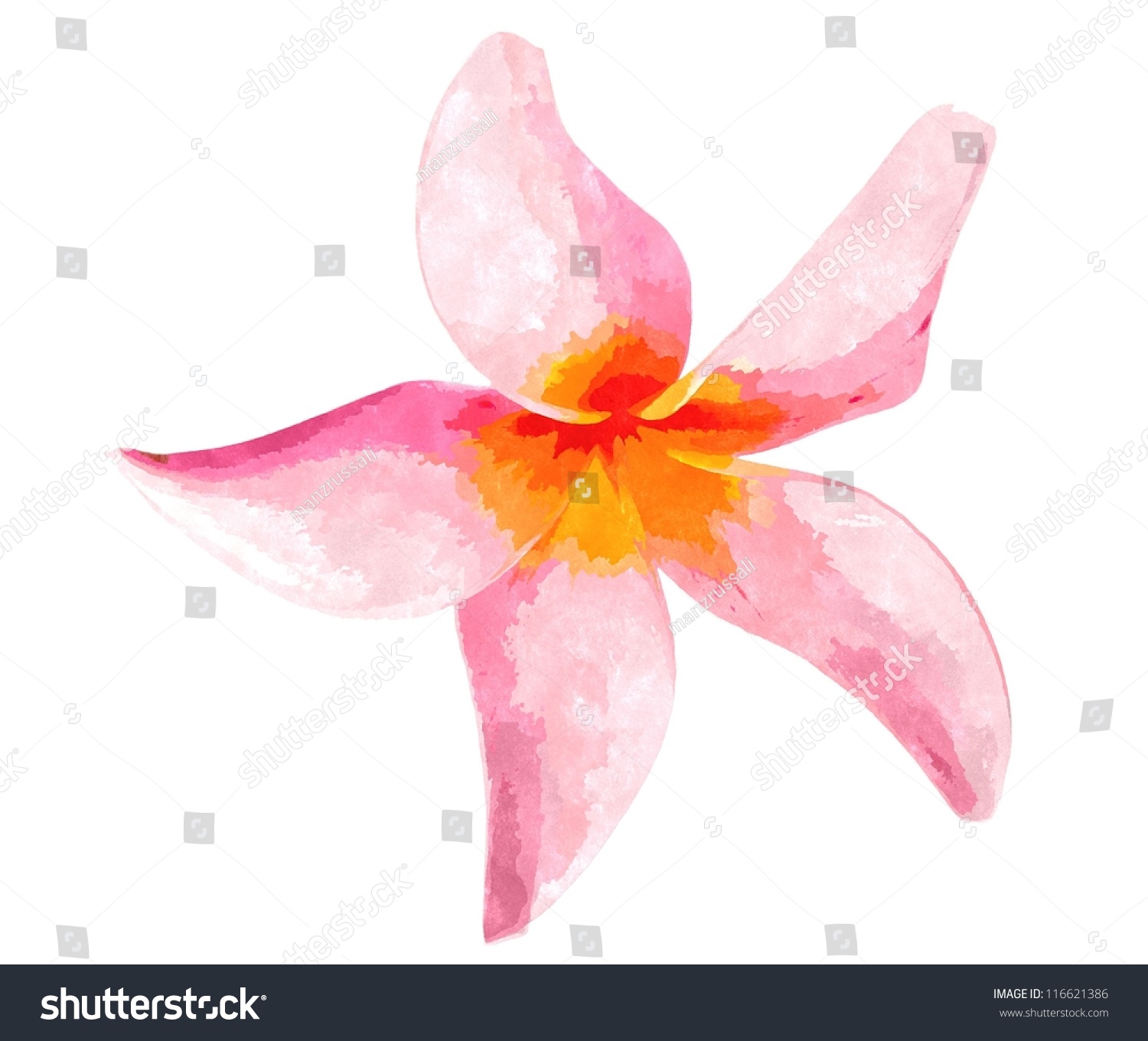 Digital Art Watercolor Painting Of Frangipani Flower Stock Photo ...