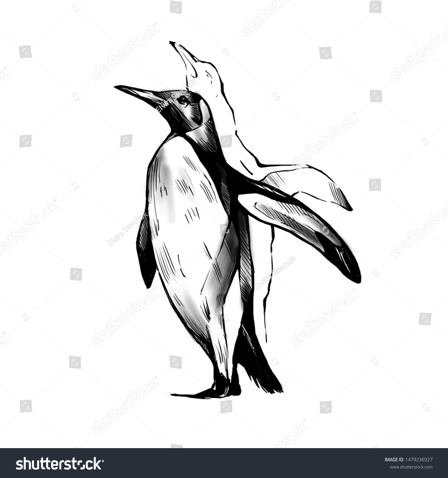 Digital Drawing Penguin Black White Tattoo のイラスト素材