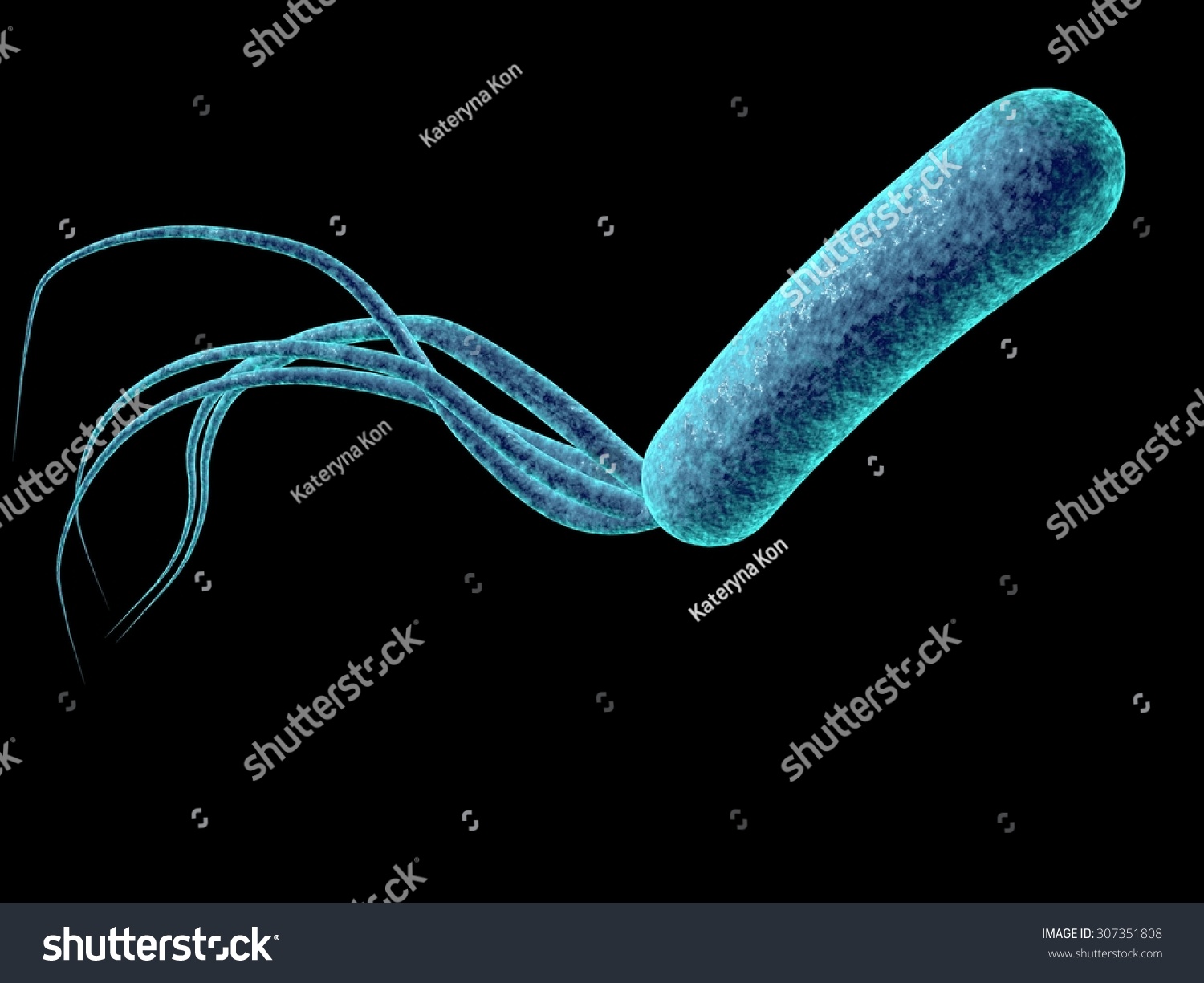 Digital Illustration Bacteria Pseudomonas Aeruginosa Isolated Stock 