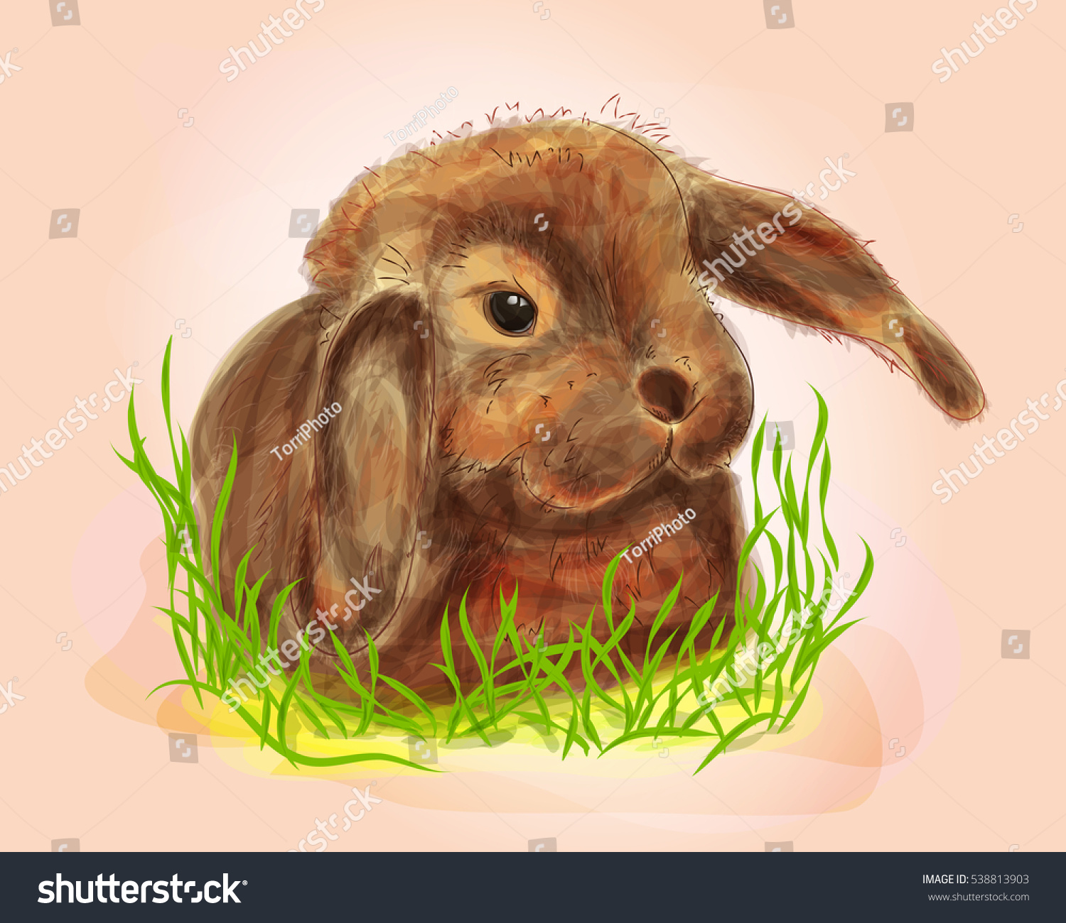 https://www.shutterstock.com/image-illustration/digital-illustration-cute-bunny-grass-watercolor-538813903