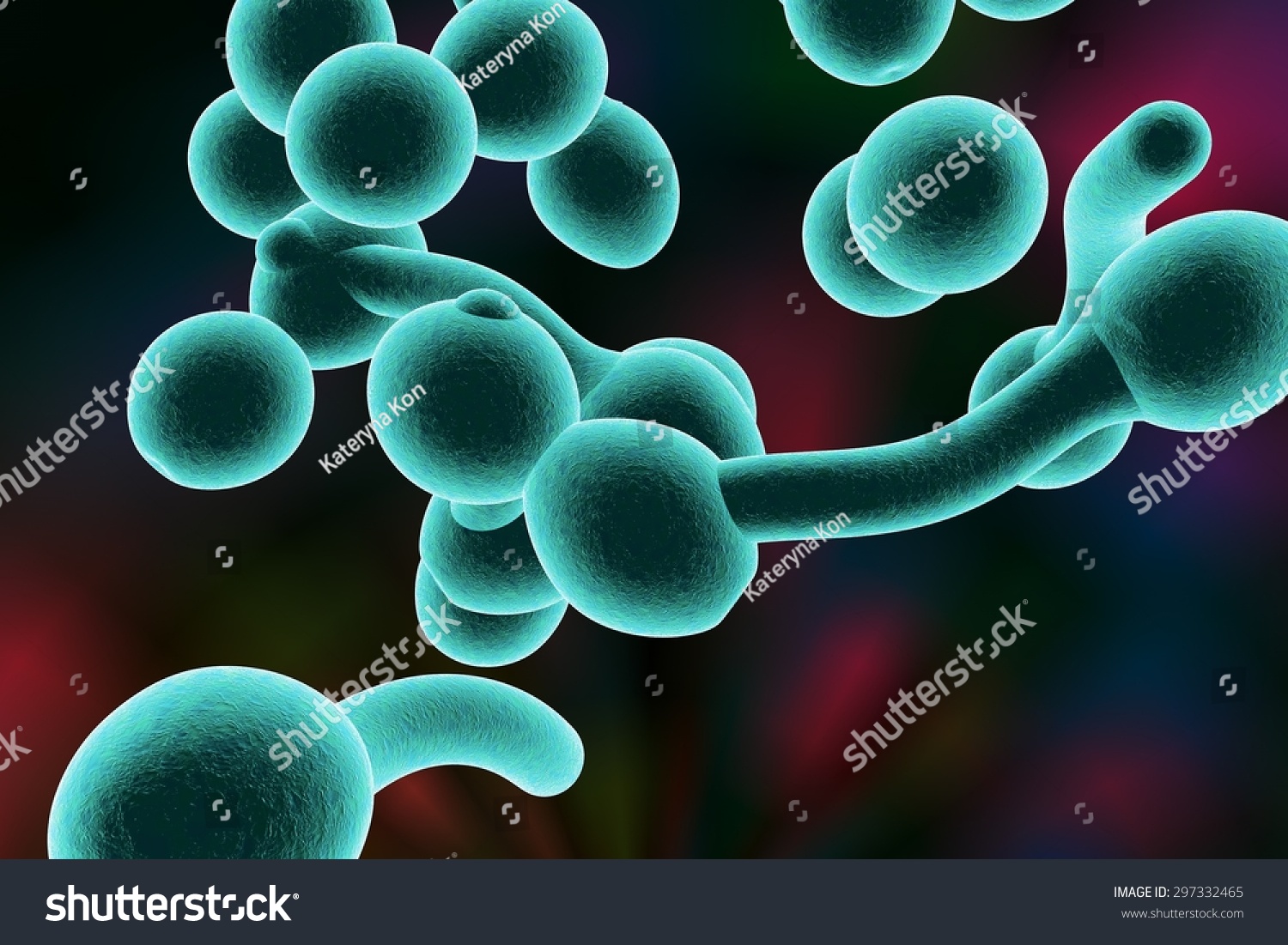 Digital Illustration Of Fungi Candida Albicans Which Cause Candidiasis ...