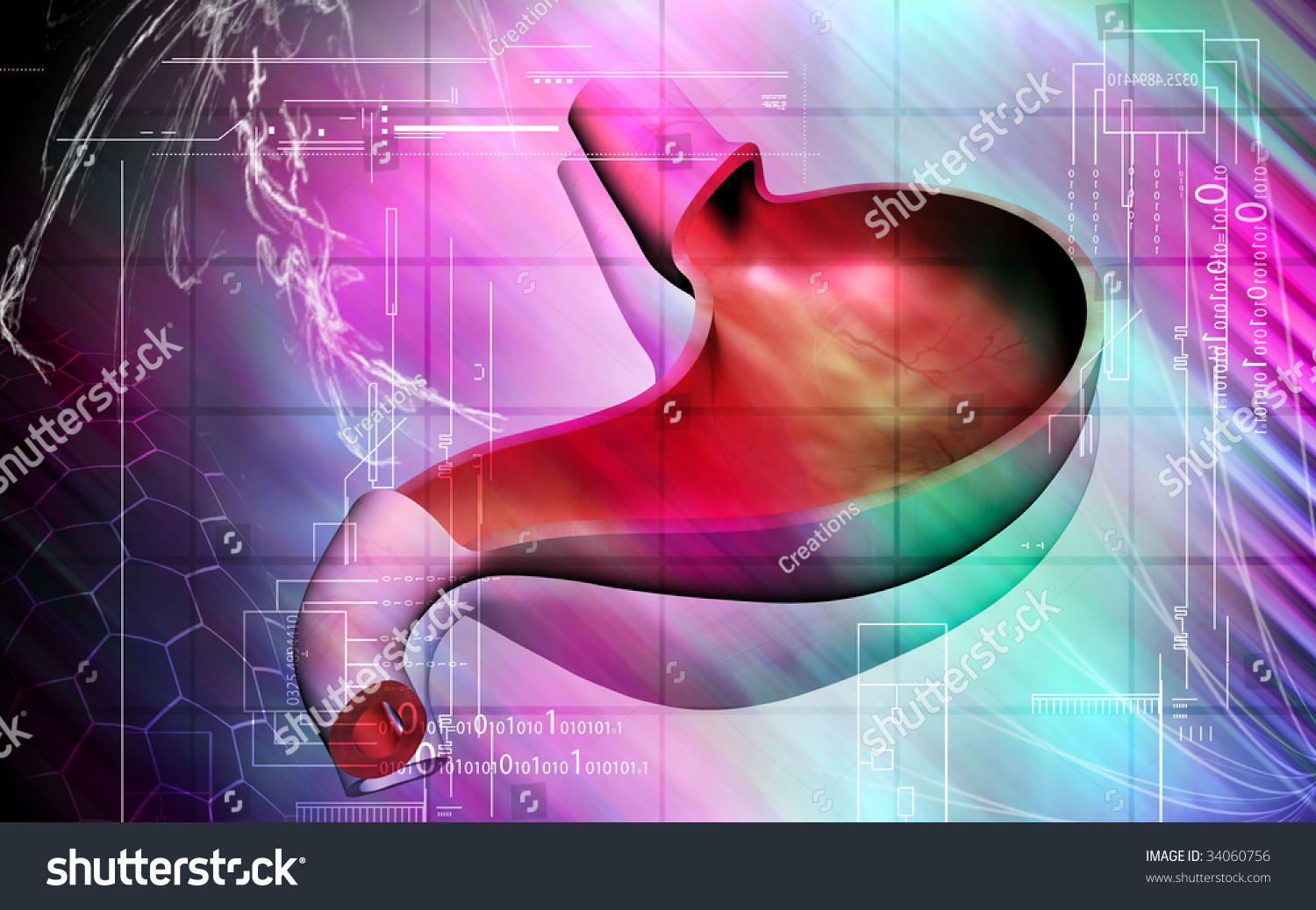 Digital Illustration Of Stomach In Colour Background - 34060756 