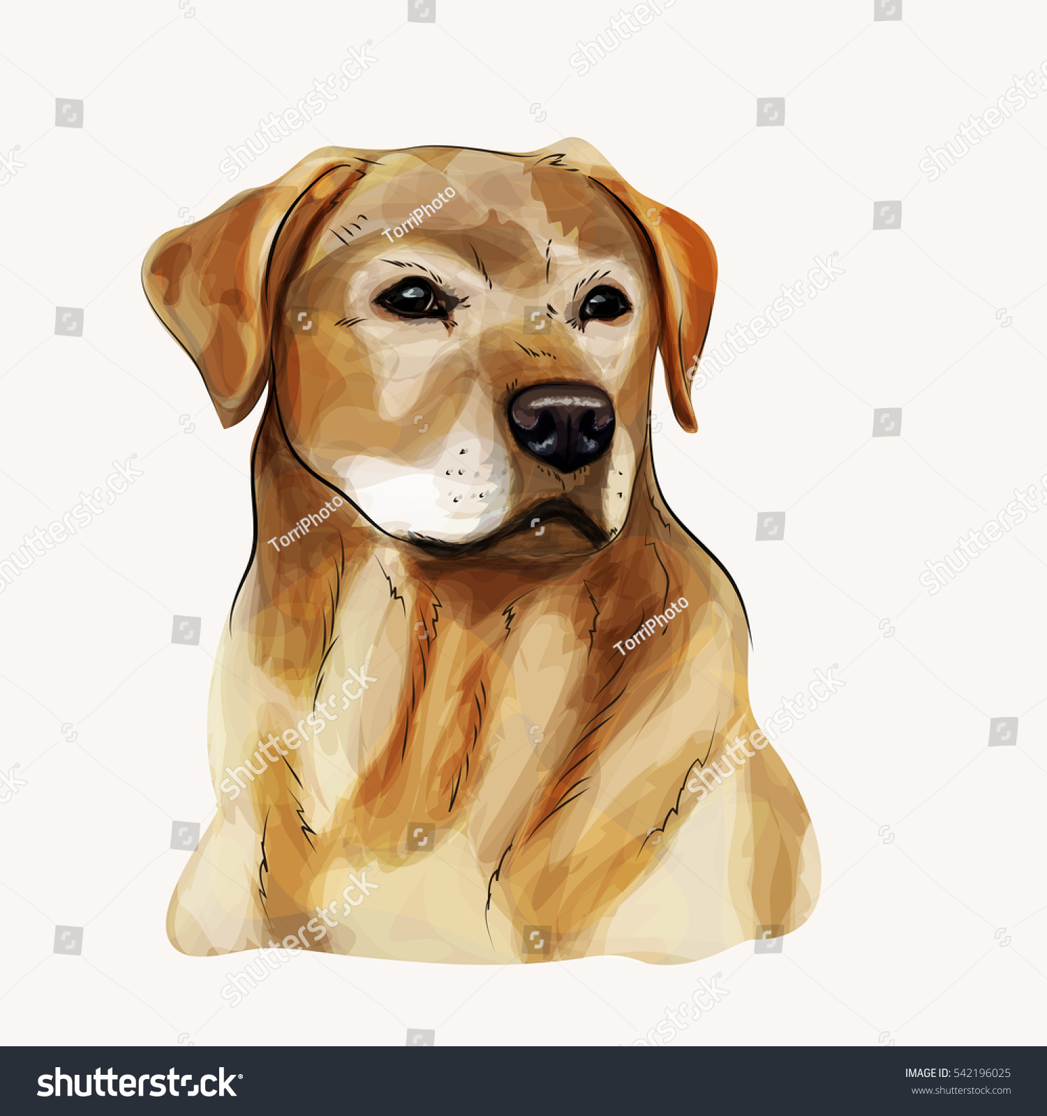 https://www.shutterstock.com/image-illustration/digital-illustration-yellow-dog-breed-labrador-542196025