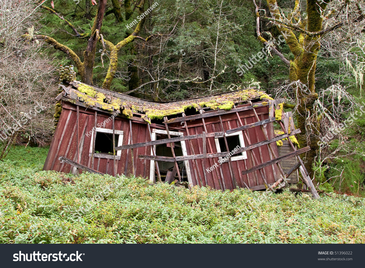 stock-photo-dilapidated-house-in-mendocino-county-california-51396022.jpg