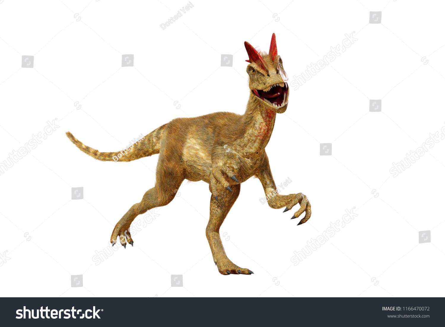 Dilophosaurus Theropod Dinosaur Early Jurassic Period Stock ...