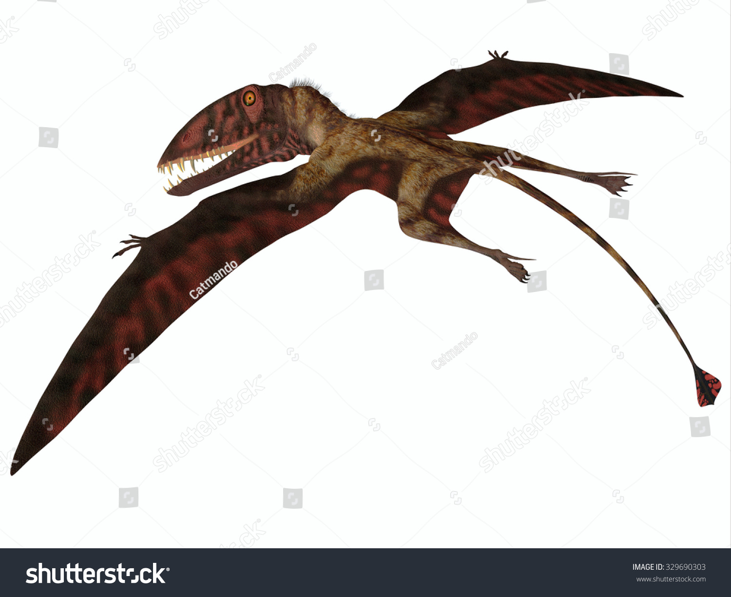 jurassic flying reptile