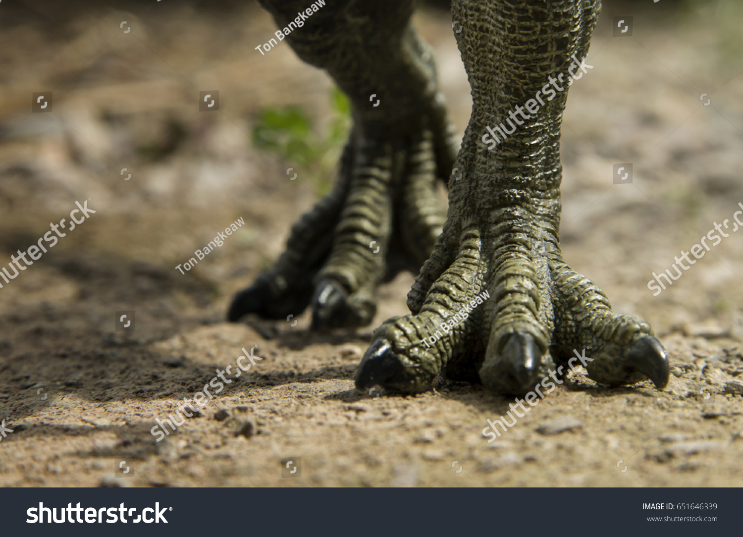 dinosaur with big feet