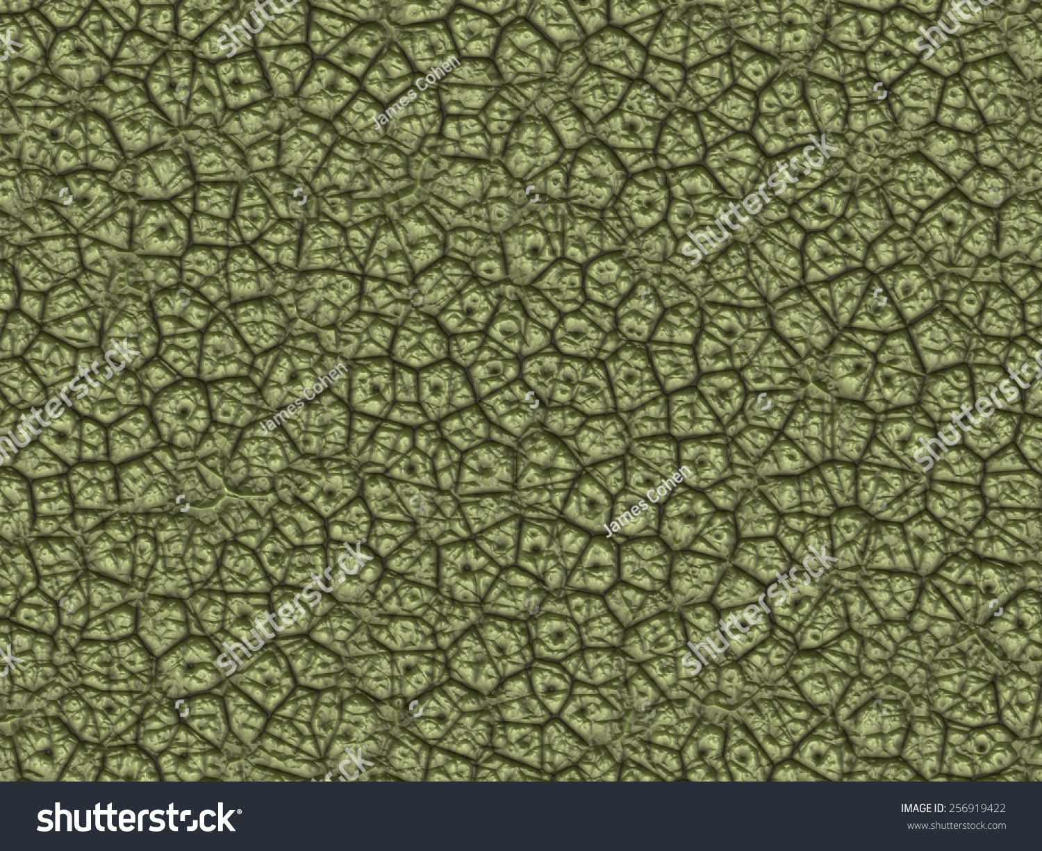 Dinosaur Skin Texture Stock Illustration 256919422 - Shutterstock