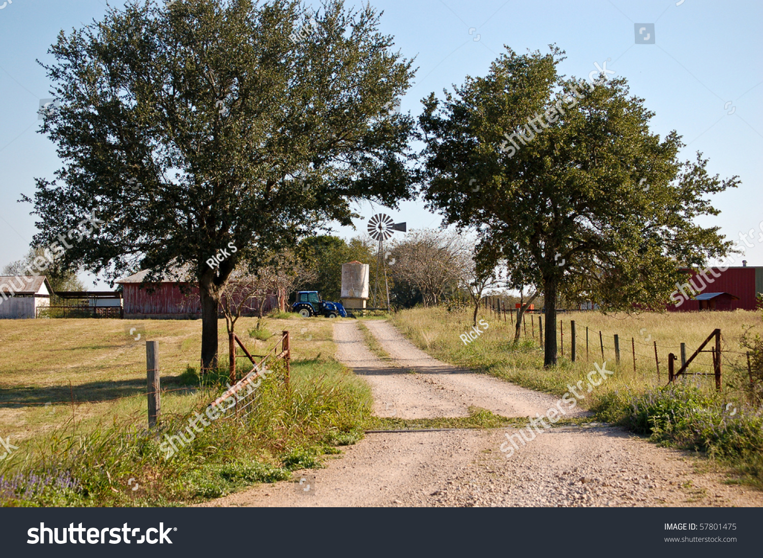 Dirt Road In Texas Stock Photo 57801475 : Shutterstock