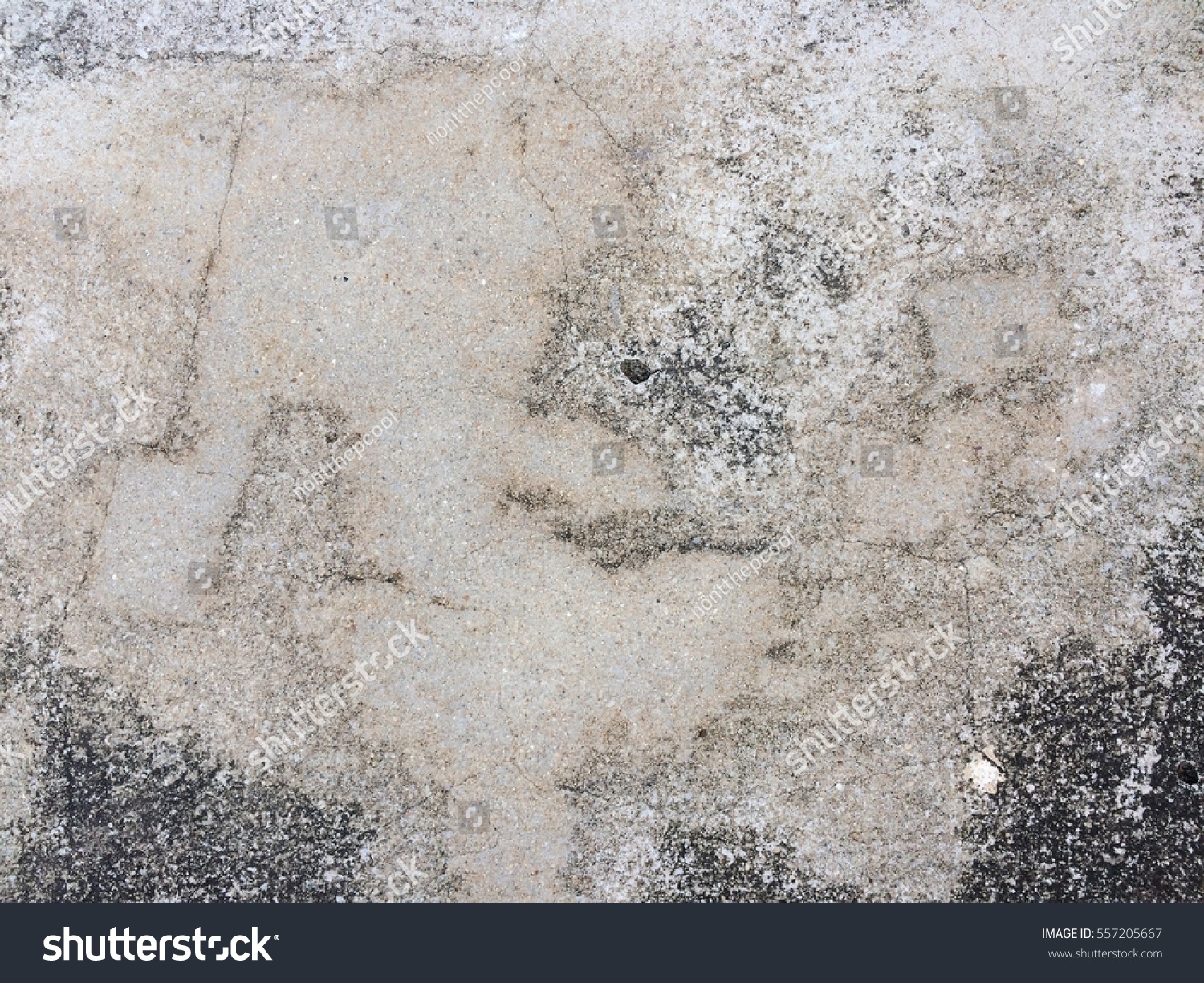 Dirty Grunge Cement Floor Texture Background Stock Photo 557205667 ...