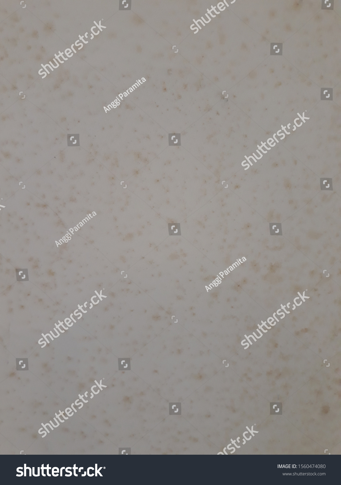 Dirty Wall Office Interior Stock Photo (Edit Now) 1560474080