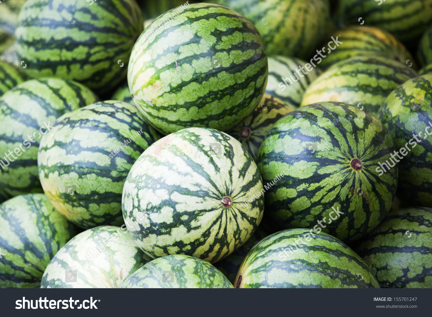 Display Market Stall Big Melons Stock Photo Edit Now