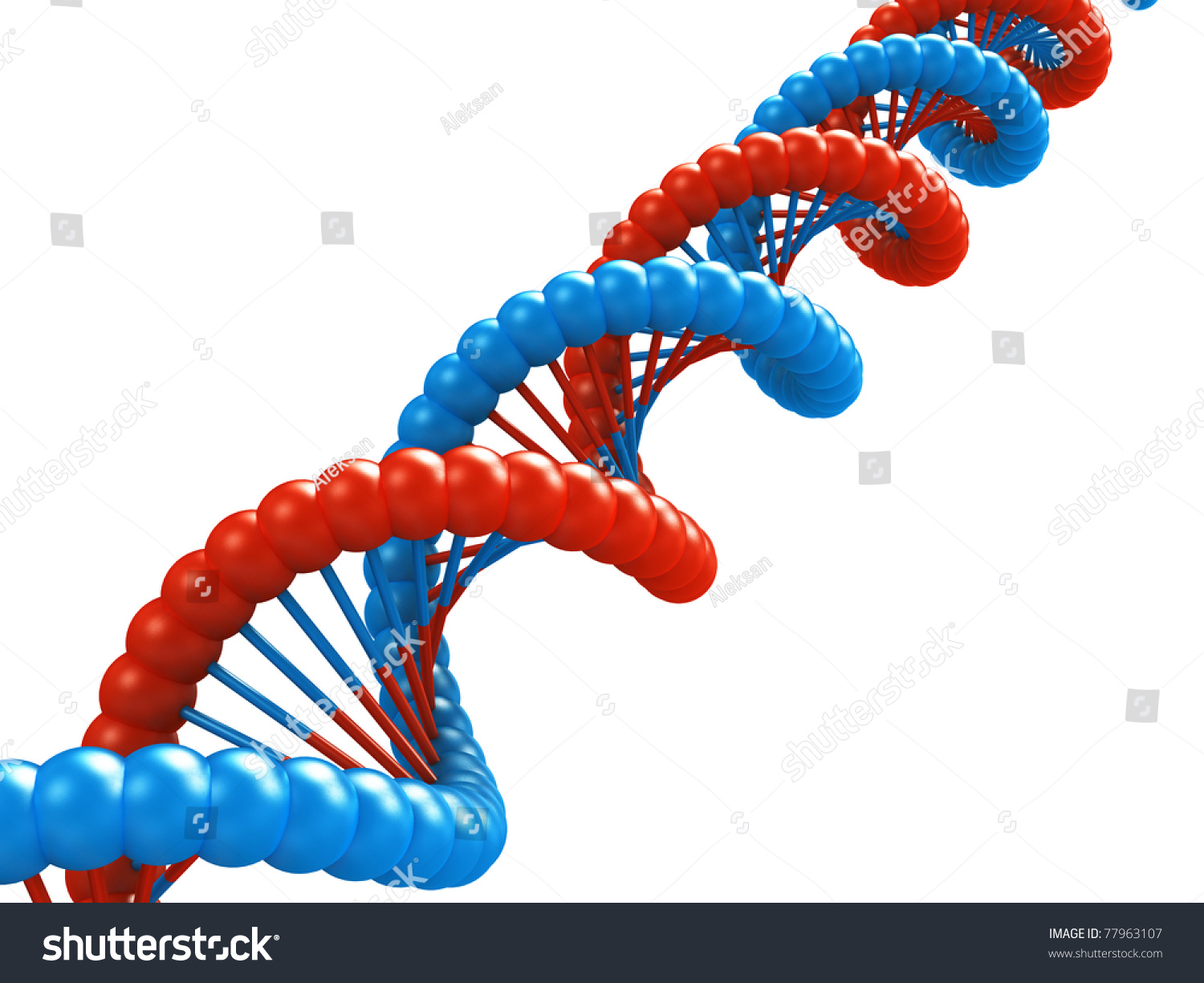 Dna Model. Stock Photo 77963107 : Shutterstock