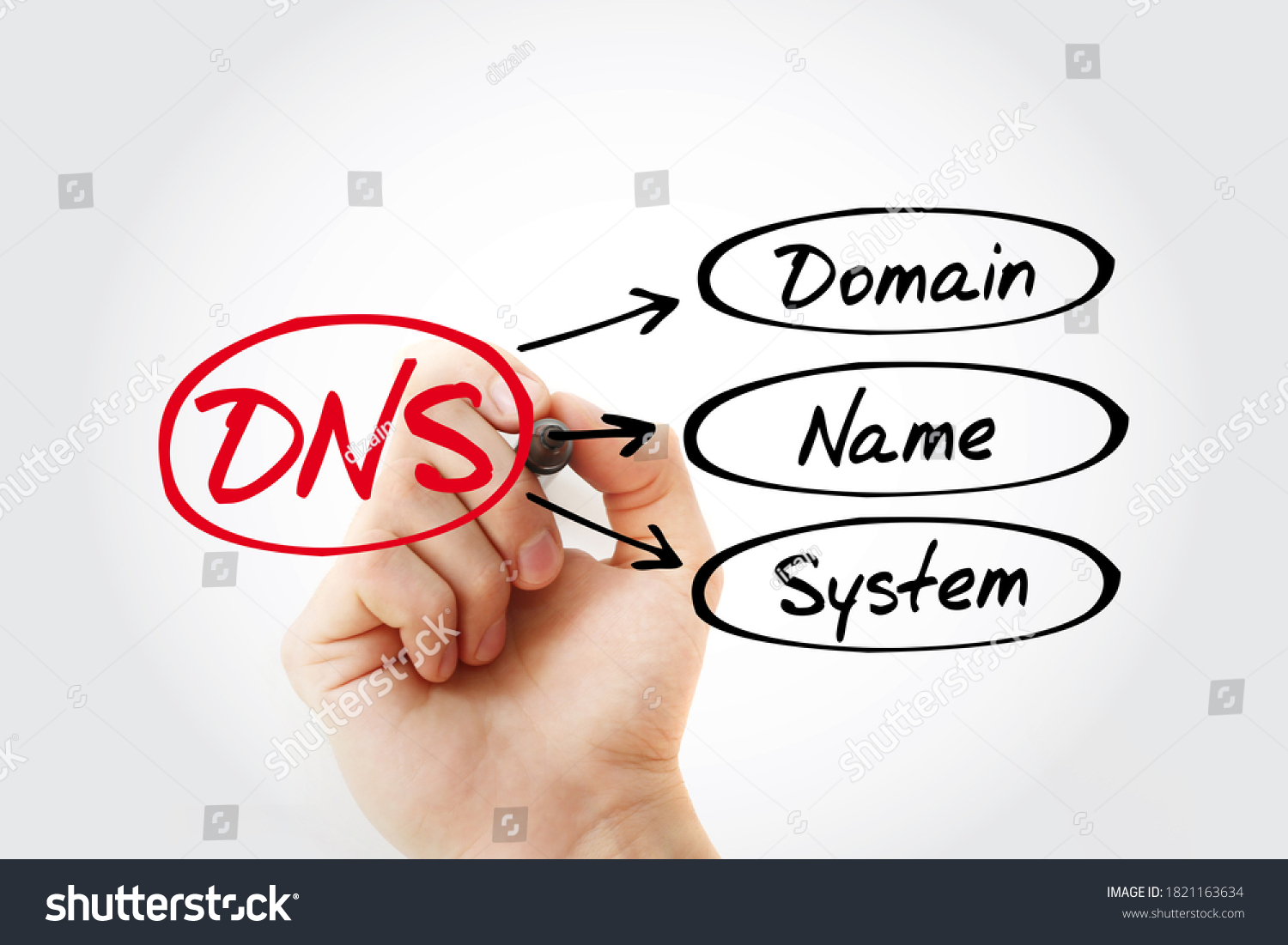 domain name service перевод