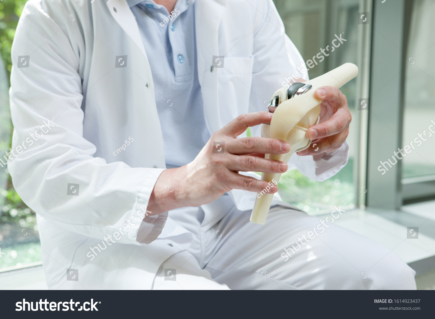 2,503 Knee prosthesis Images, Stock Photos & Vectors | Shutterstock