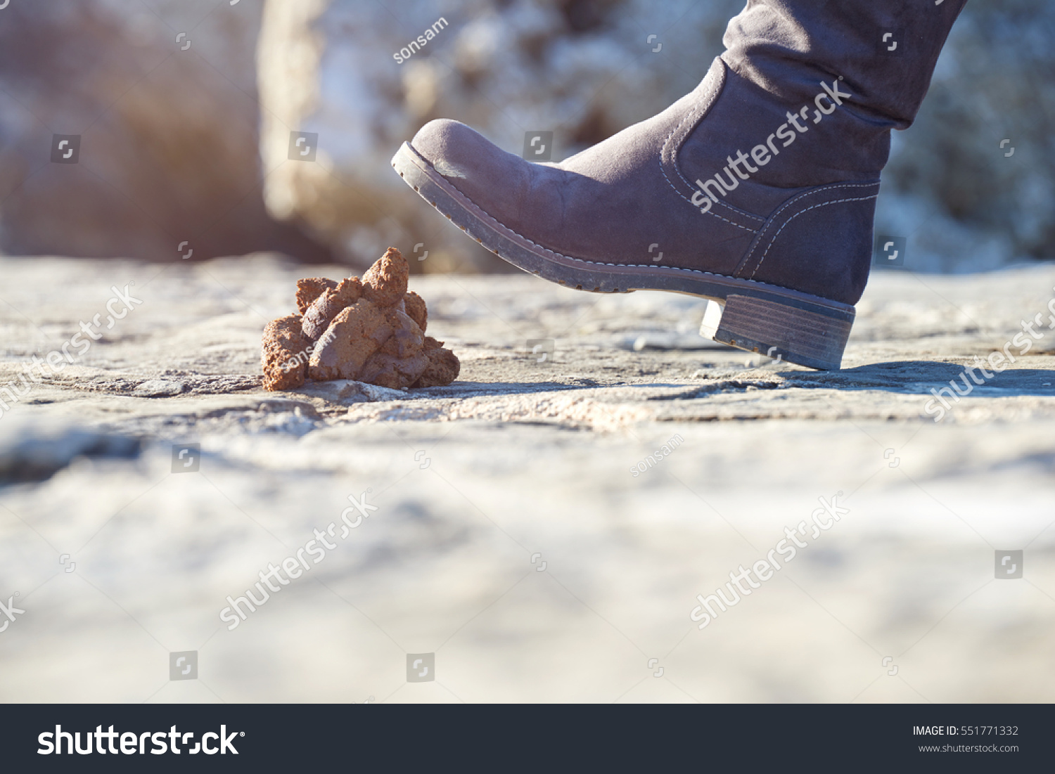 218 Stepped in dog poo Images, Stock Photos & Vectors Shutterstock