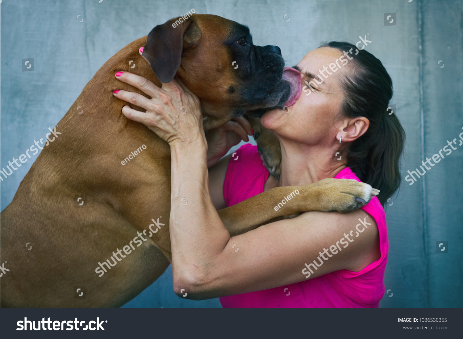 Dog Love German Boxer Licking Face Stock Photo Edit Now 1036530355