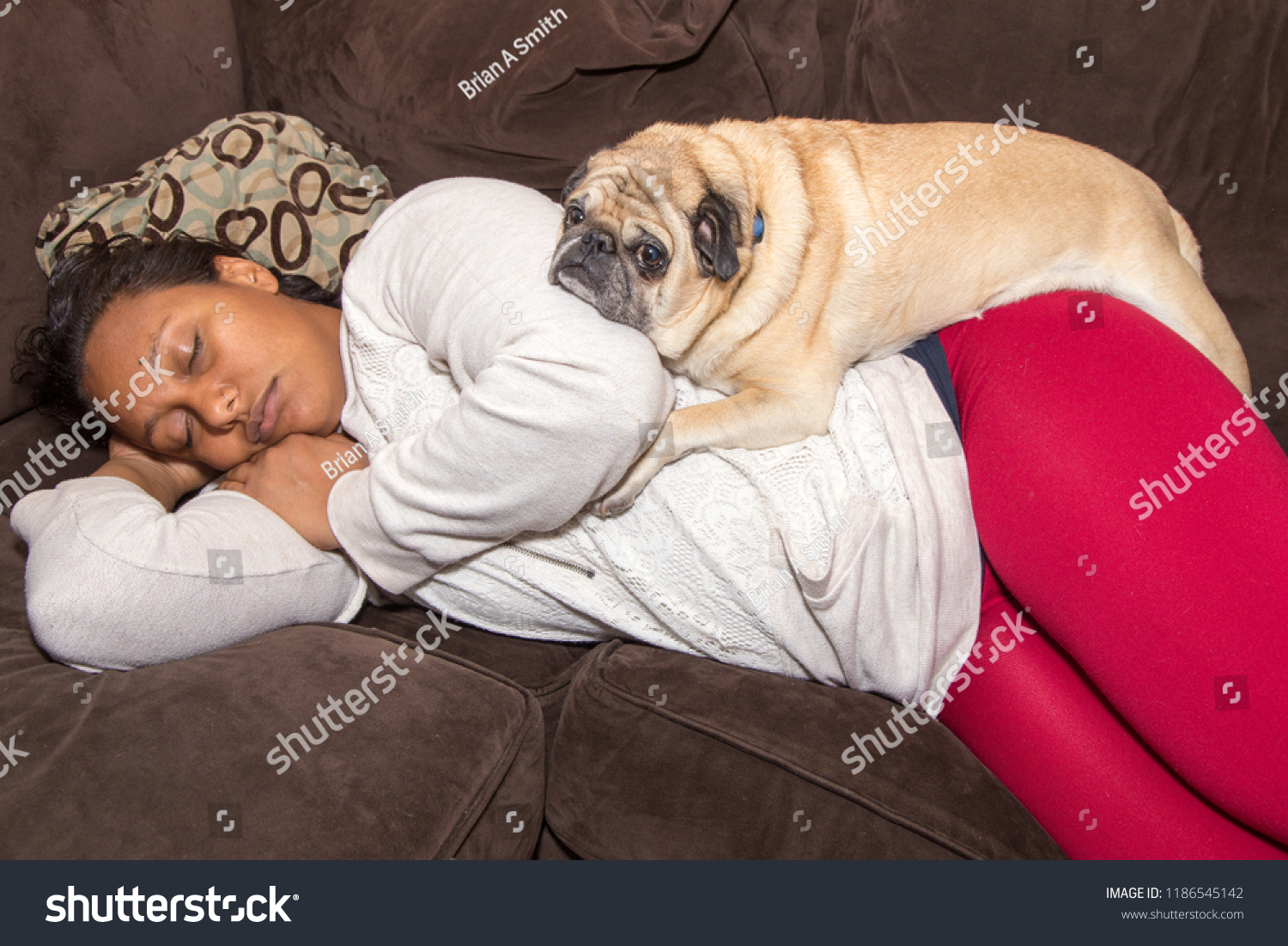 dog on top of woman