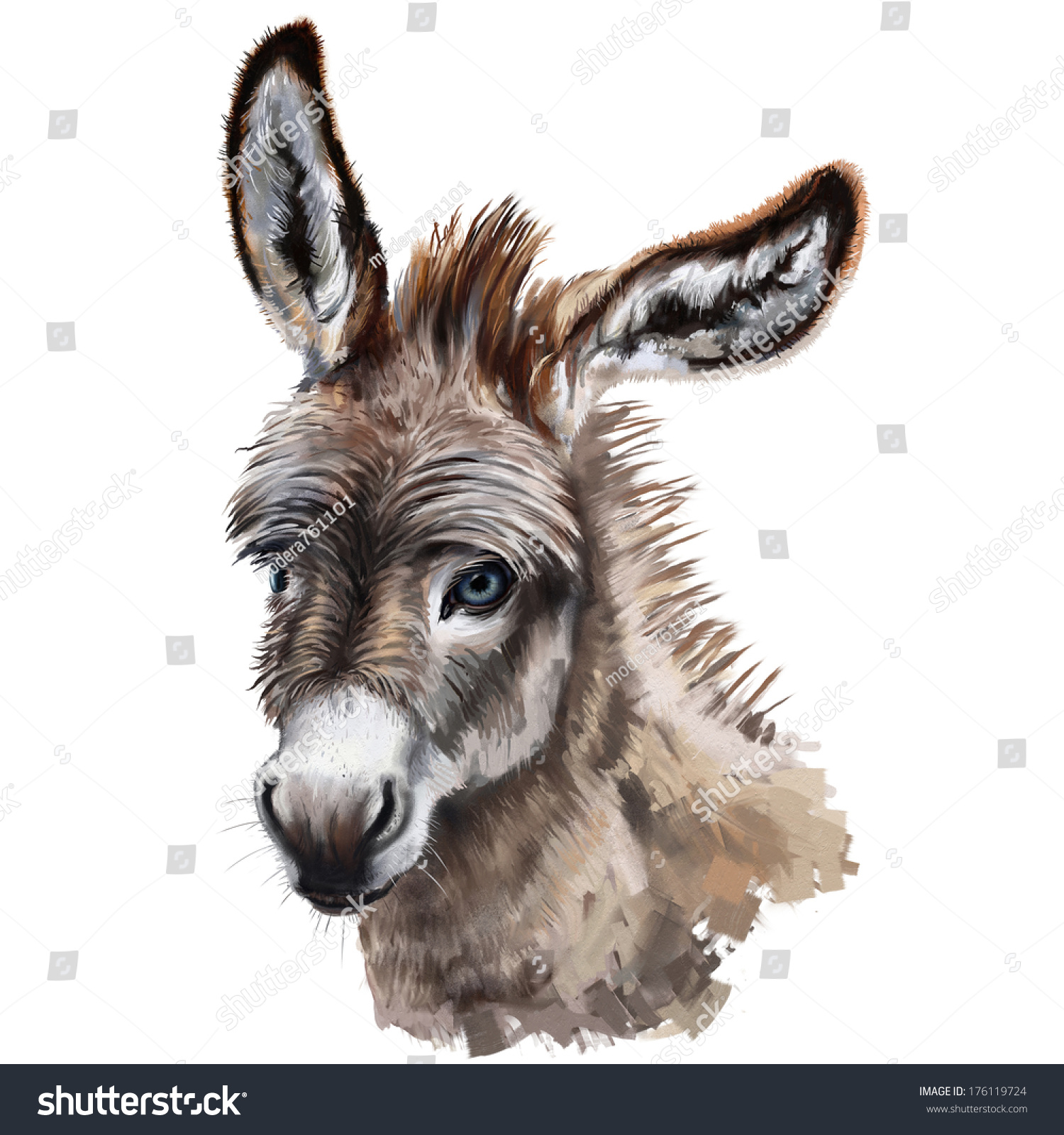 Donkey Head Digital Painting Donkey Head Stock Illustration 176119724 ...