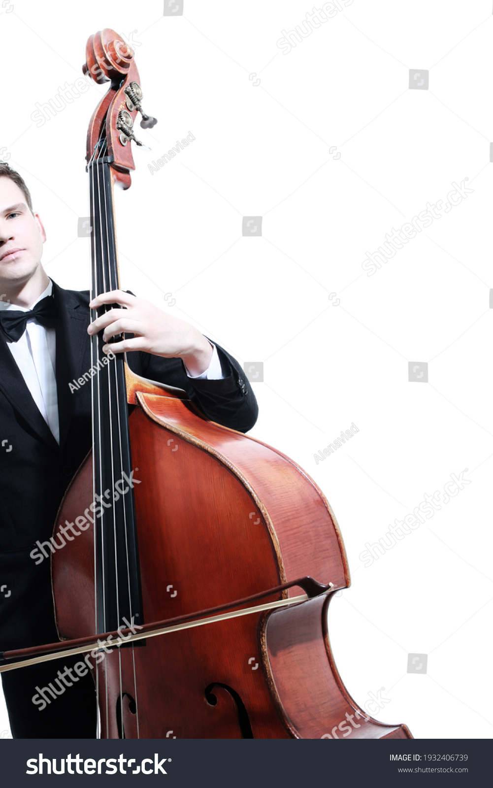 contrabass player