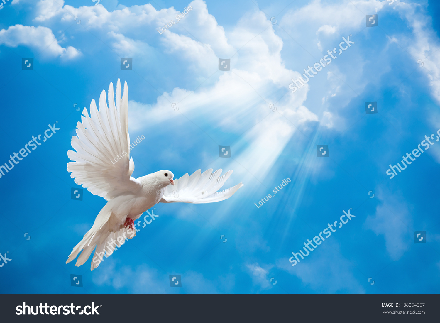 White Doves Blue Sky Images Stock Photos And Vectors Shutterstock