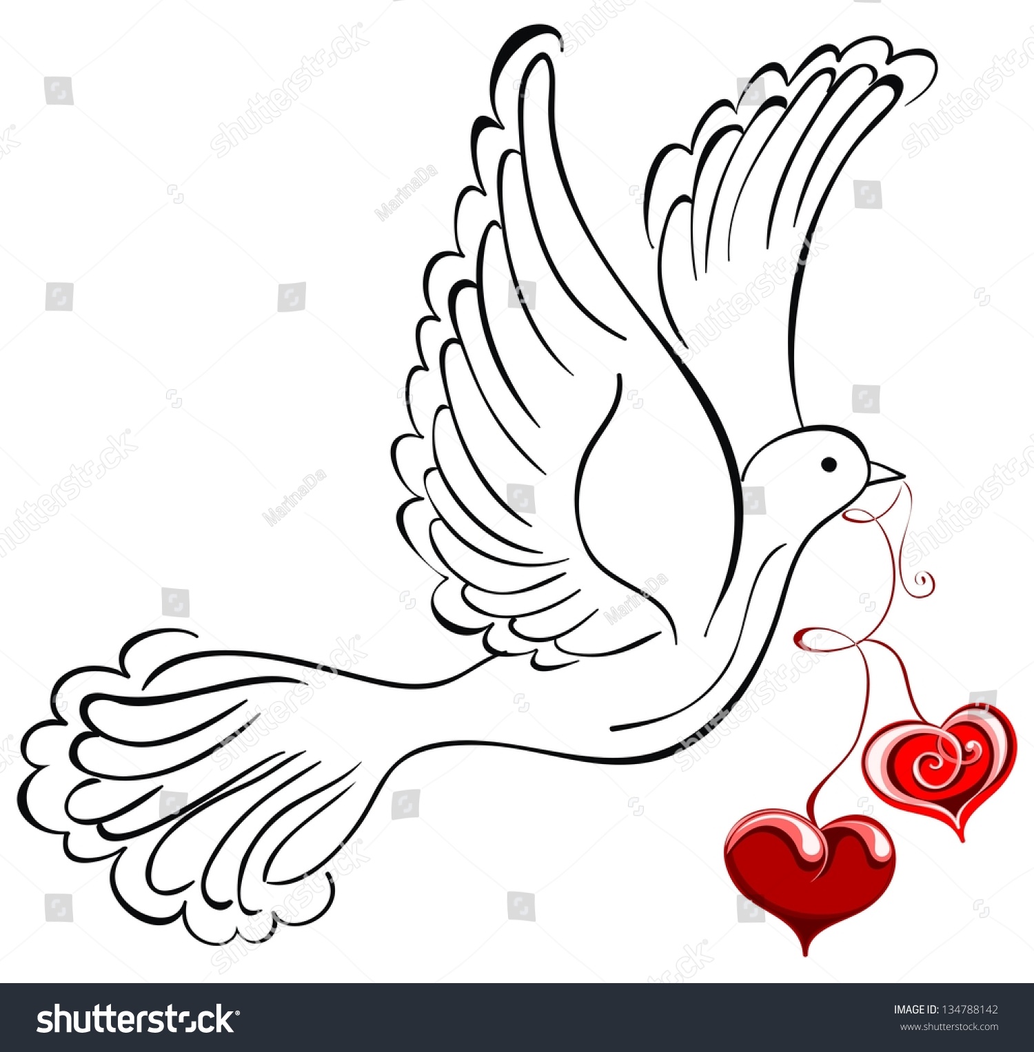 Dove With Heart Stock Photo 134788142 : Shutterstock