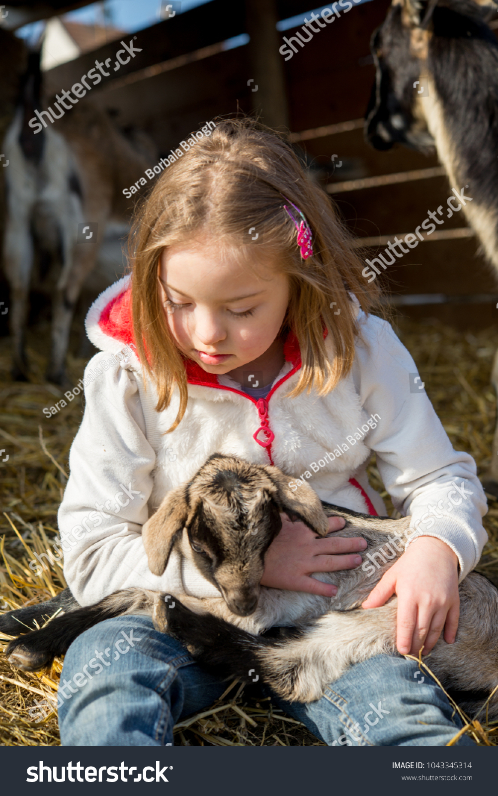 Down Syndrome Kid Playing Baby Goat Stock Photo Edit Now