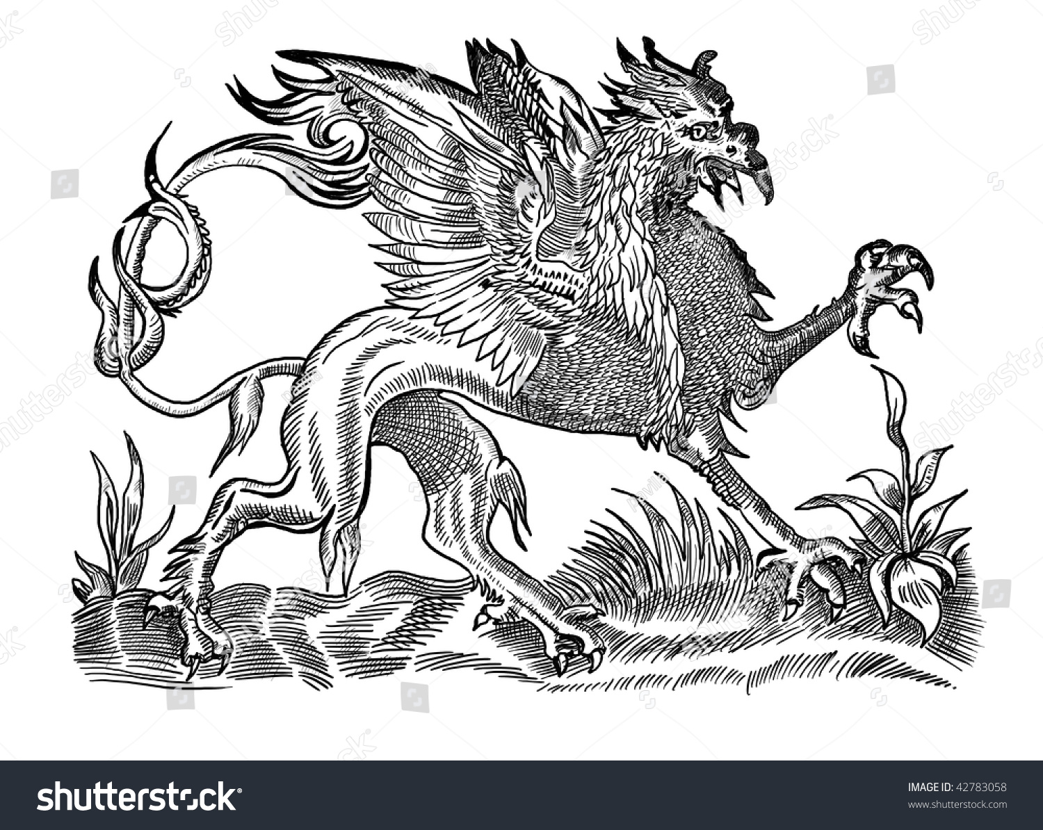 Dragon Old Engraving Stock Photo 42783058 : Shutterstock