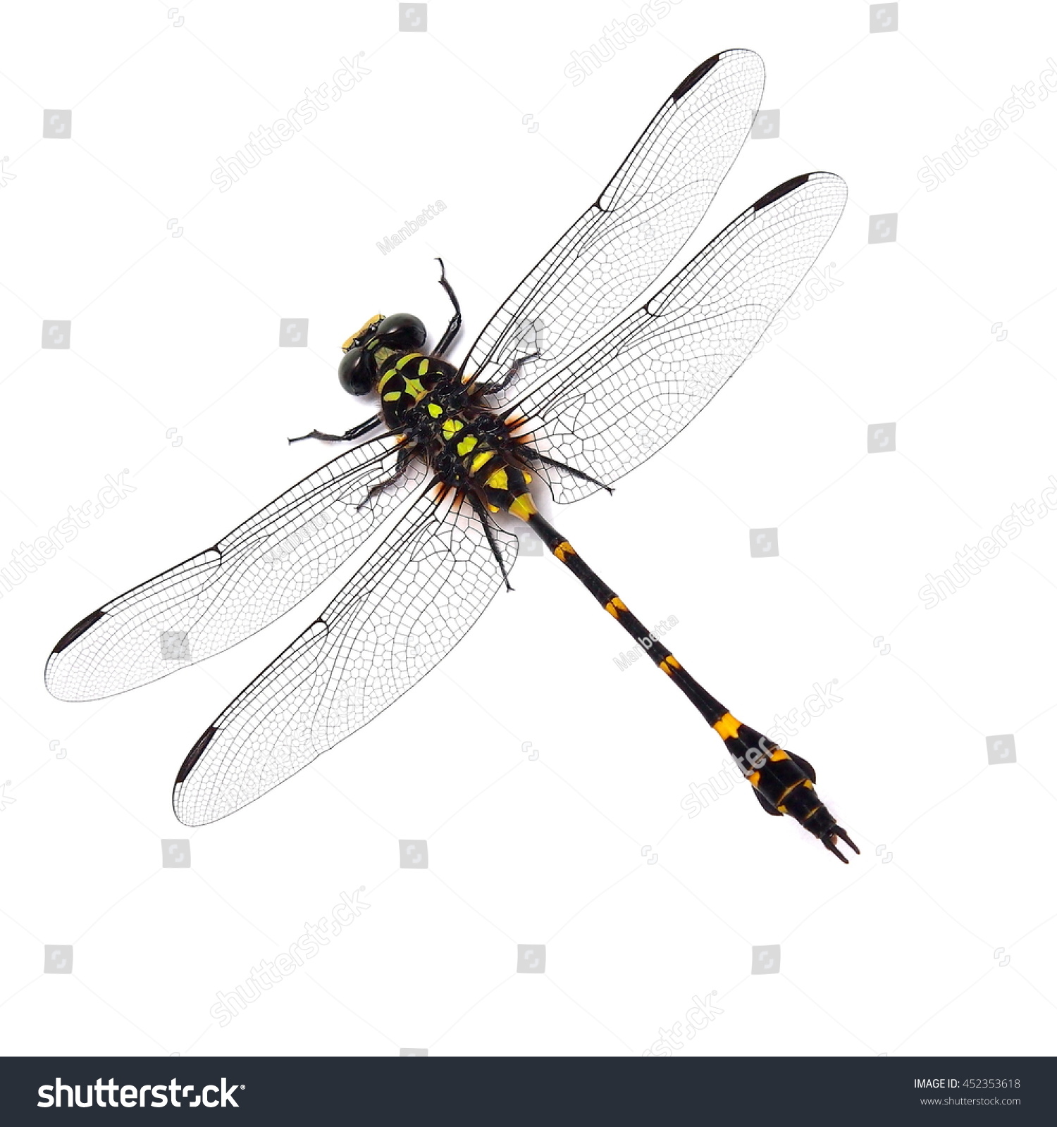 Dragonfly Isolated On White Background Stock Photo 452353618 - Shutterstock
