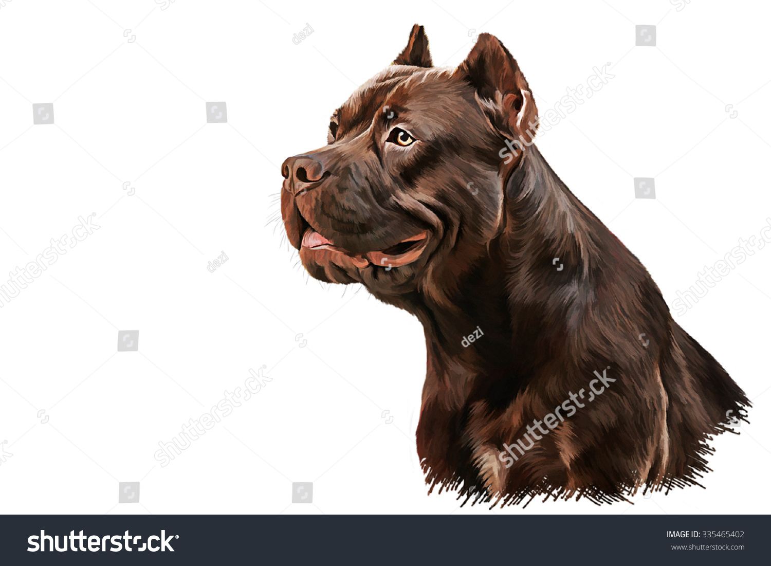 to face jesus how drawing Oil American Staffordshire Stock Portrait Drawing Terrier