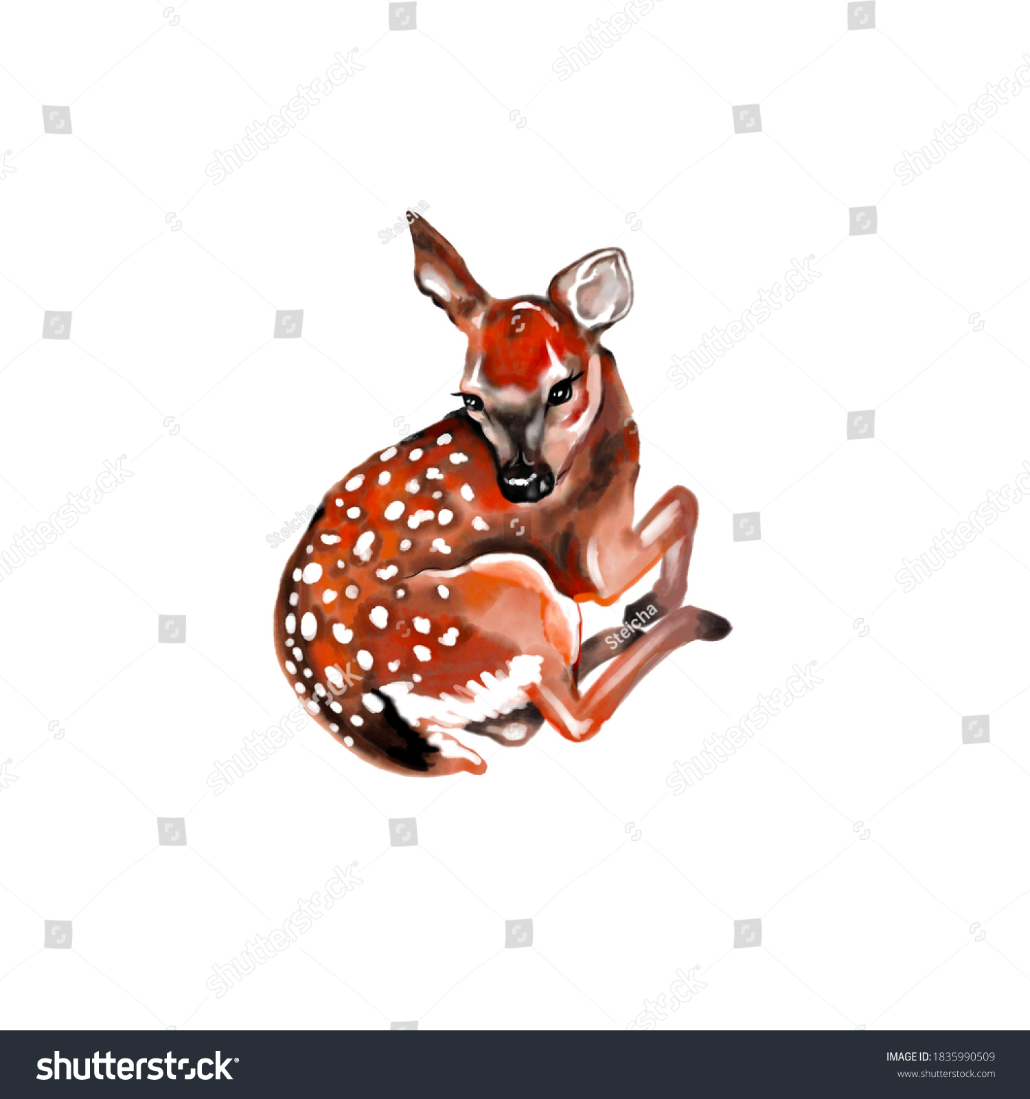 Drawing Little Baby Deer Laying Down Stock Illustration 1835990509