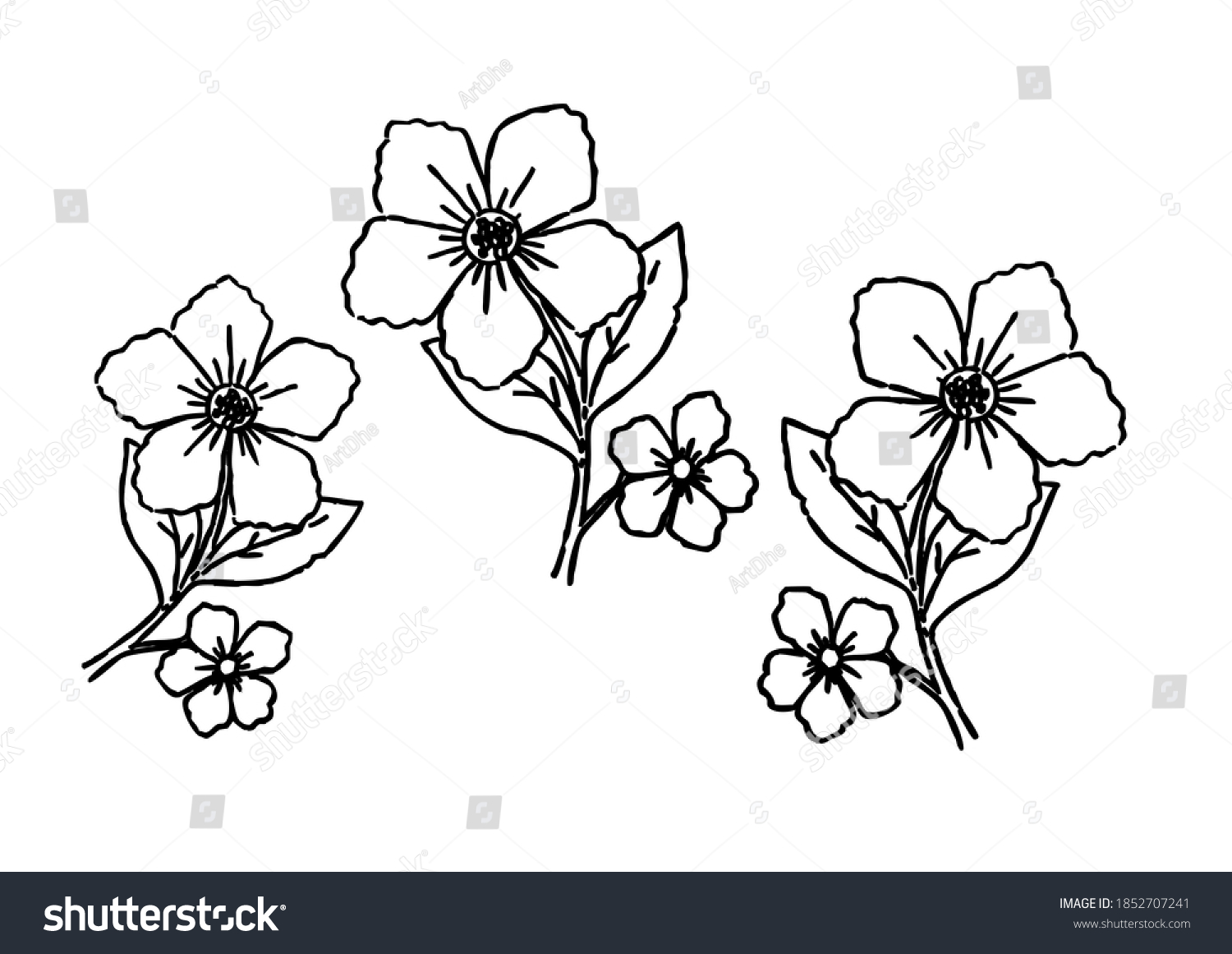 Drawing Flower Black White Outline Line Stock Illustration 1852707241 ...