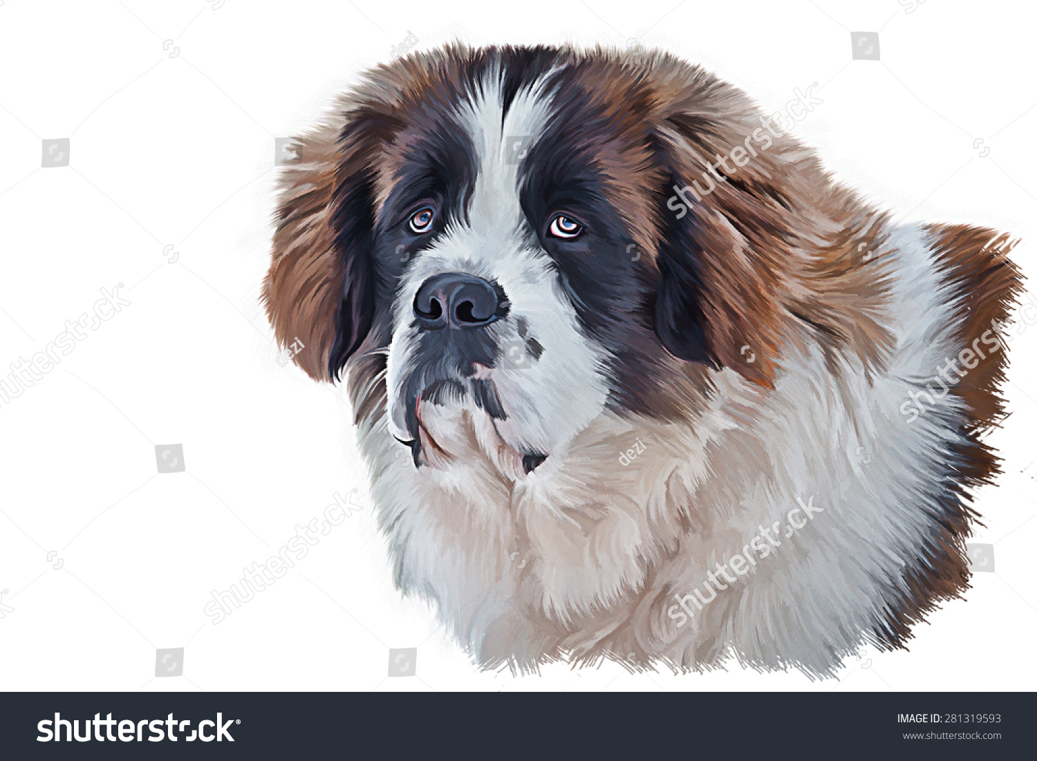 Drawing Saint Bernard Dog Portrait Oil Stock Illustration 281319593