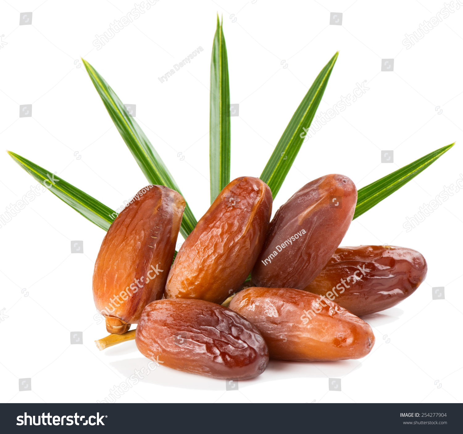 Dried Dates On Stalk Green Leaves Stock Photo 254277904 | Shutterstock