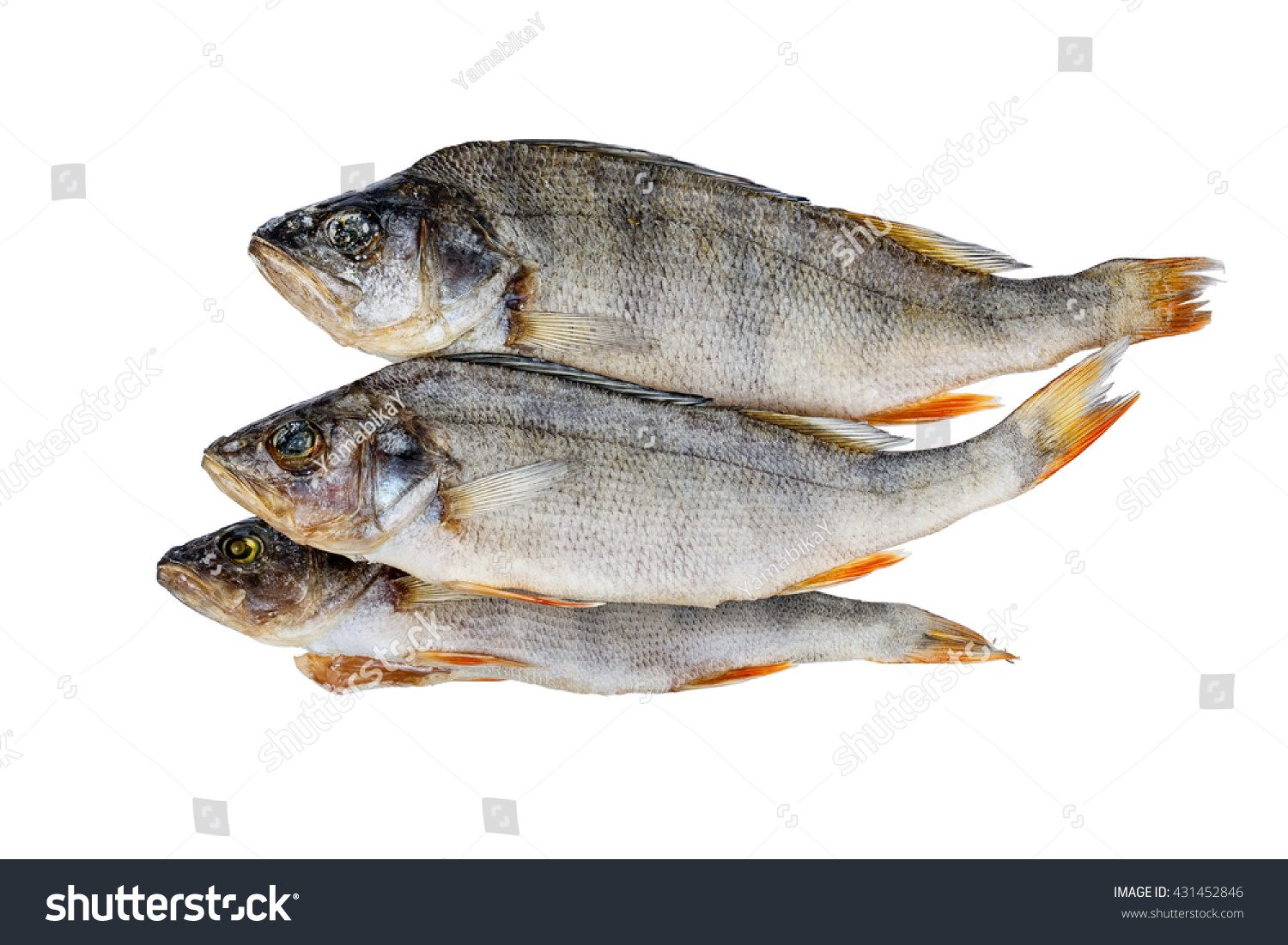 Dried Fish Perch Stock Photo 431452846 - Shutterstock for Dried Fish Clipart
75sfw Dried Fish Perch Stock Photo 431452846 - Shutterstock for Dried Fish Clipart
75sfw