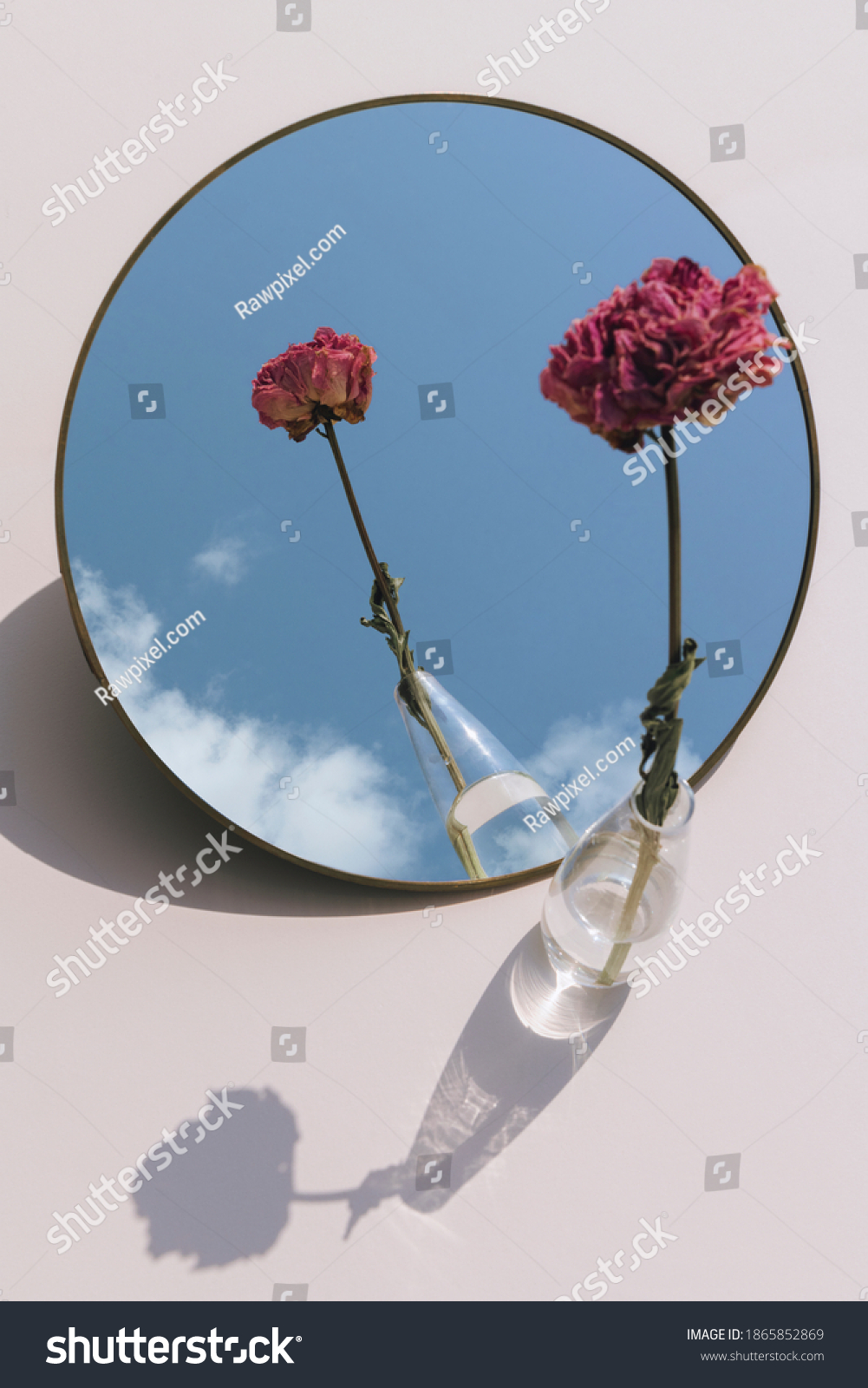 182,641 Flowers In The Mirror Images, Stock Photos & Vectors | Shutterstock