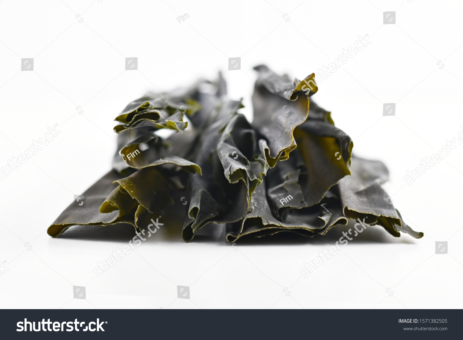 is kelp edible