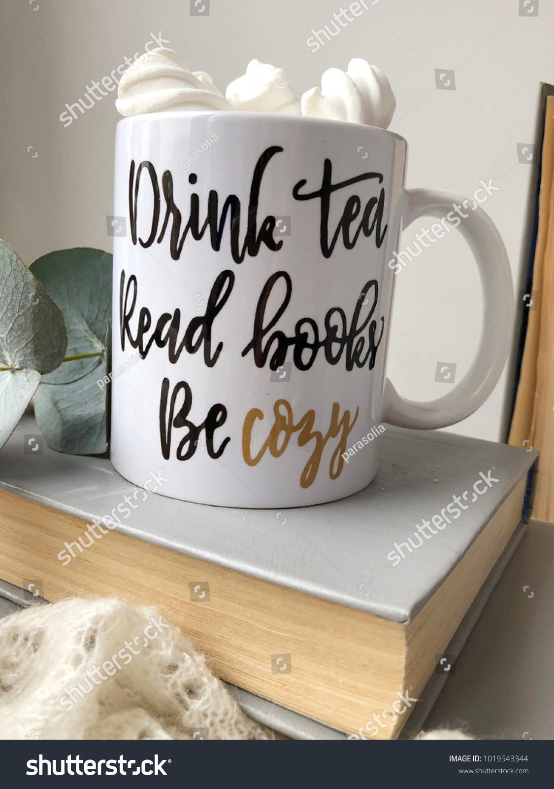 Drink Tea Read Books Cozy Reading Stock Photo Edit Now 1019543344