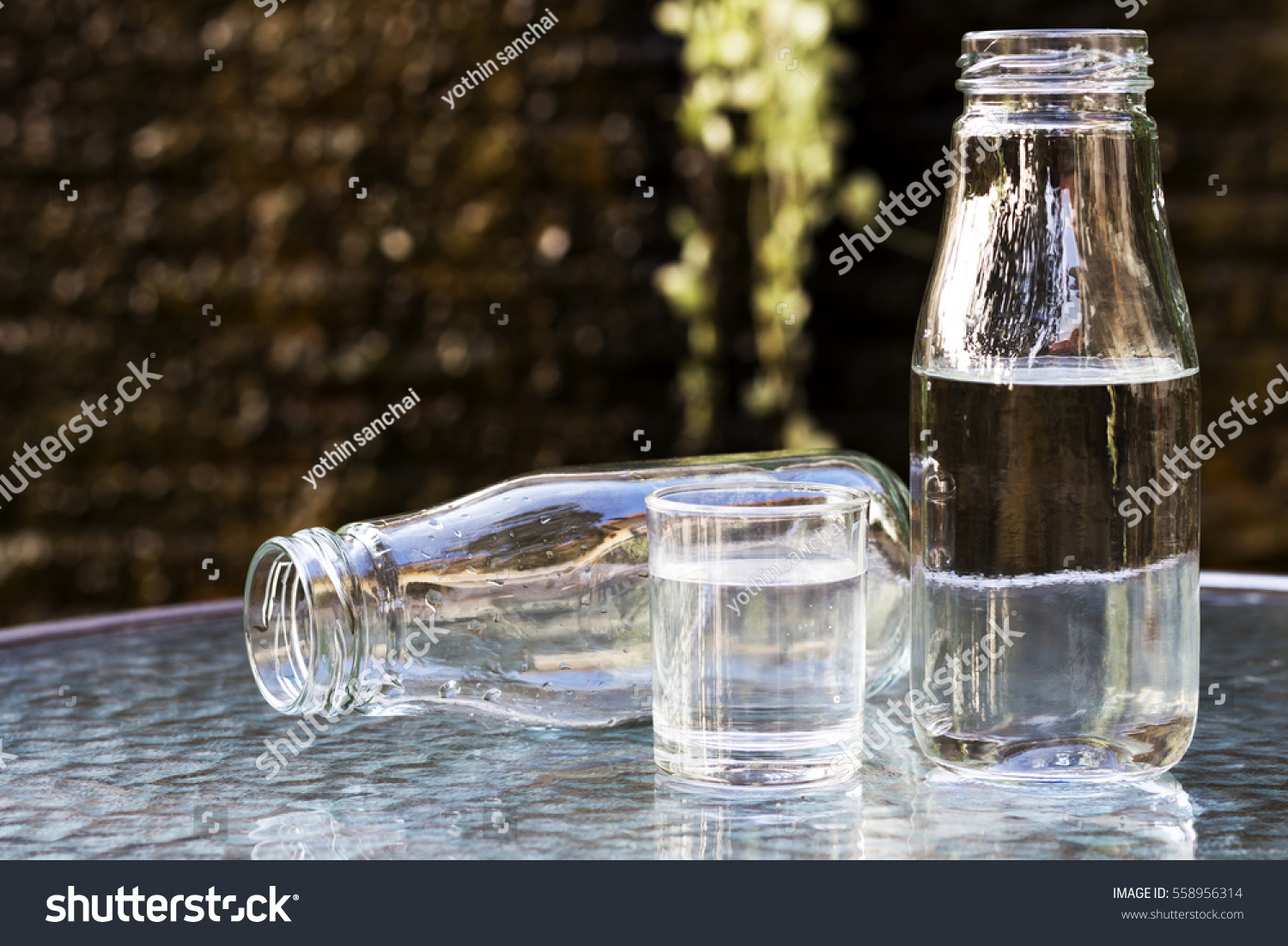 Drinking Water Stock Photo 558956314 - Shutterstock