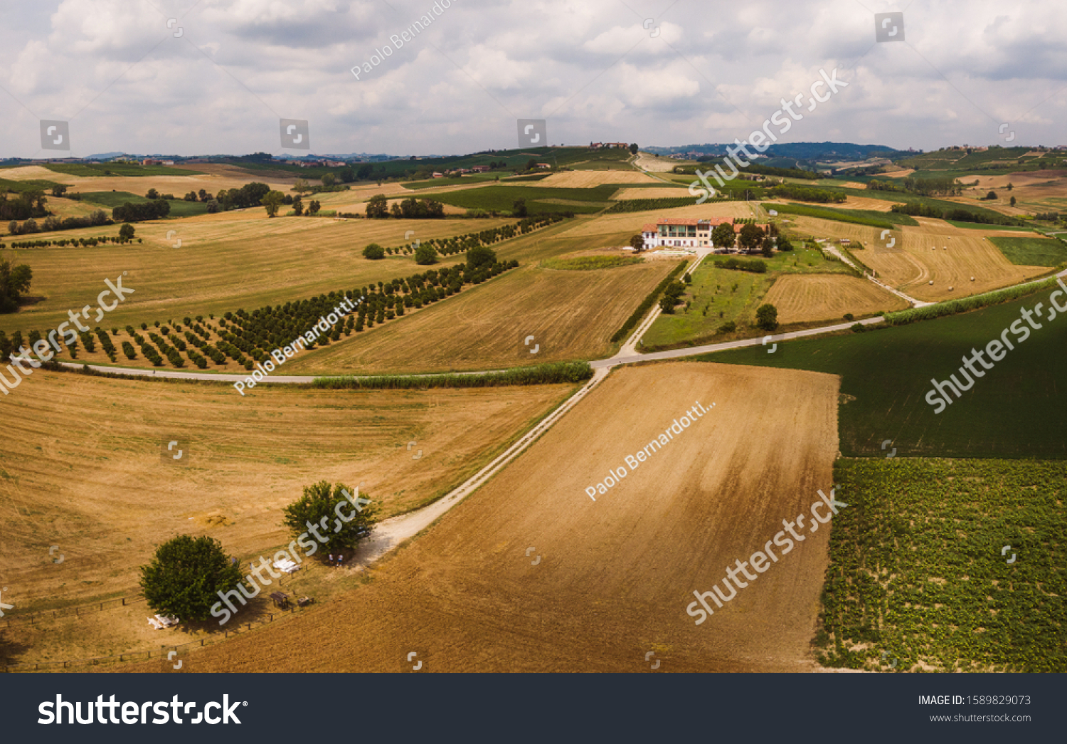 Bialbero Images, Stock Photos & Vectors | Shutterstock