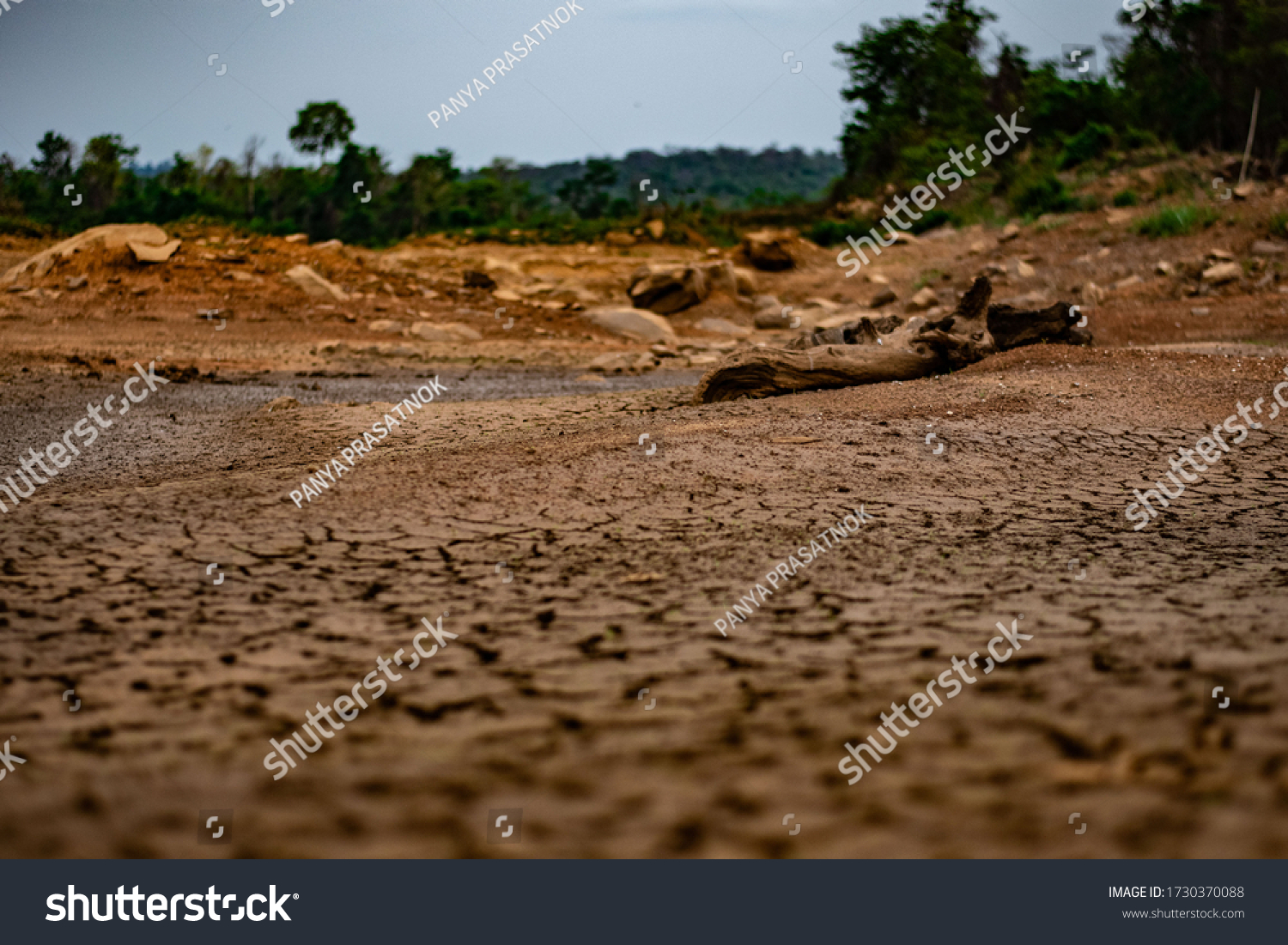 Drought Until Ground Broke Stock Photo (Edit Now) 1730370088