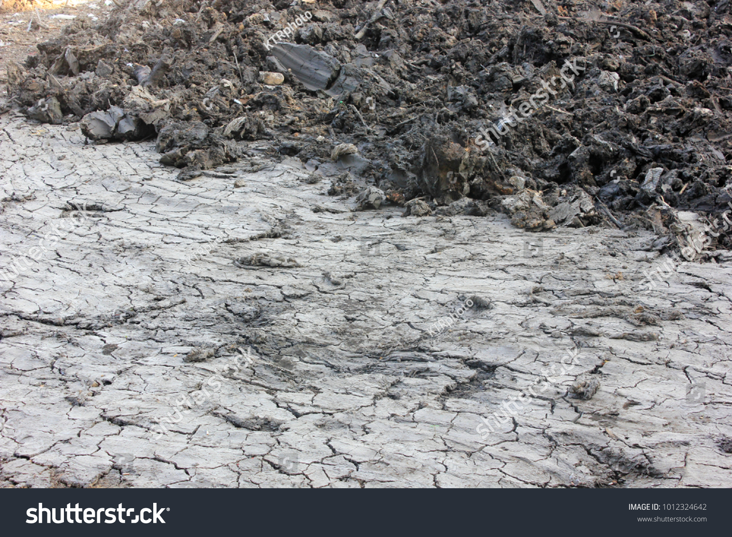 Land of Black Clay