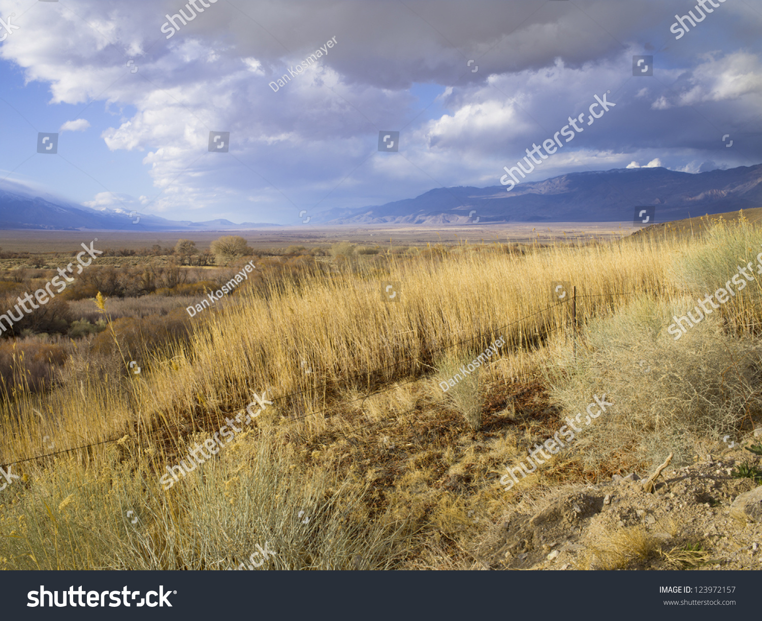 Dry Dead Grass Under A Blue Desert Sky. Stock Photo 123972157 ...